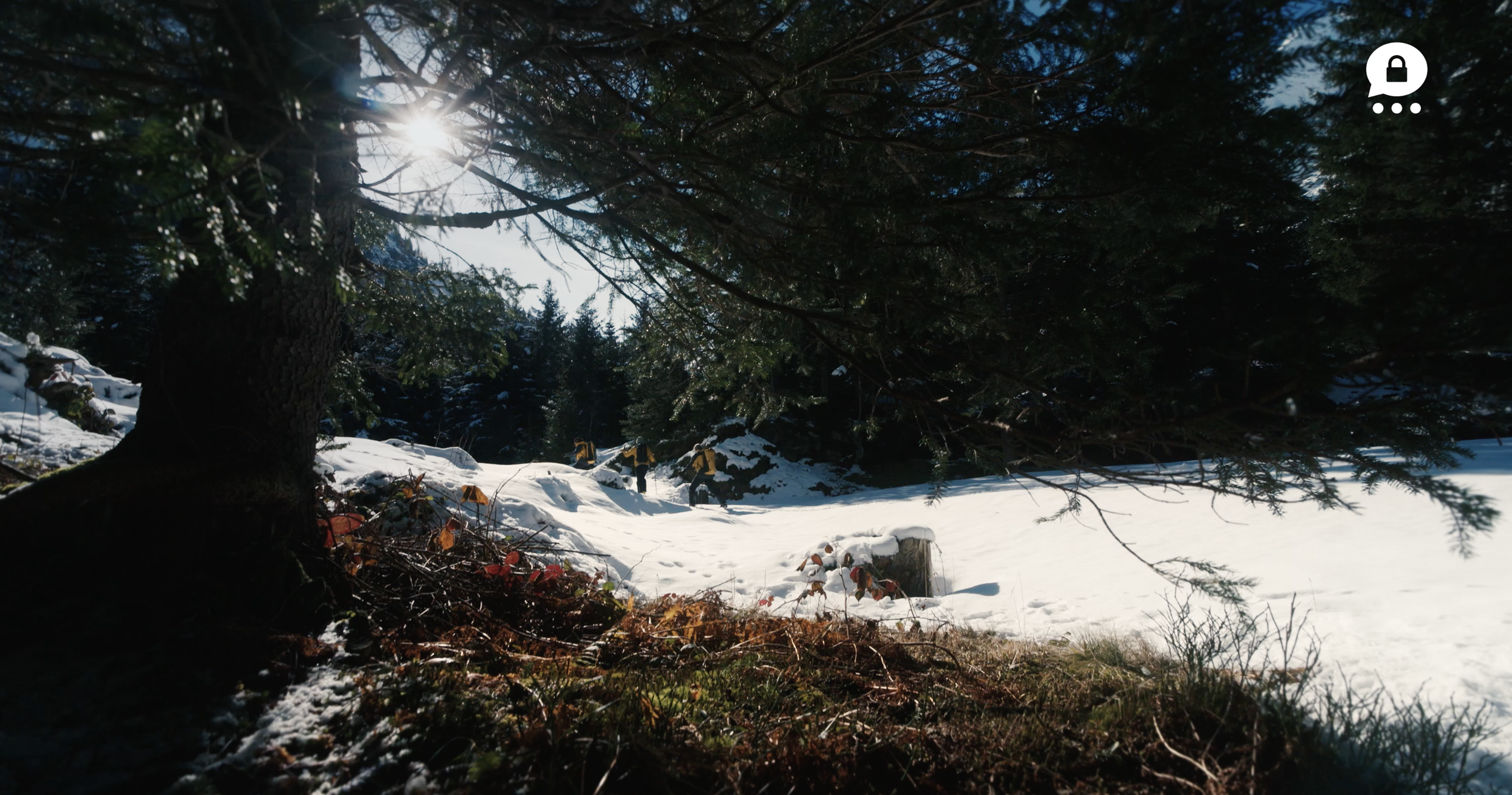 Bildschirmfoto 2025-02-06 um 15.55.03.png