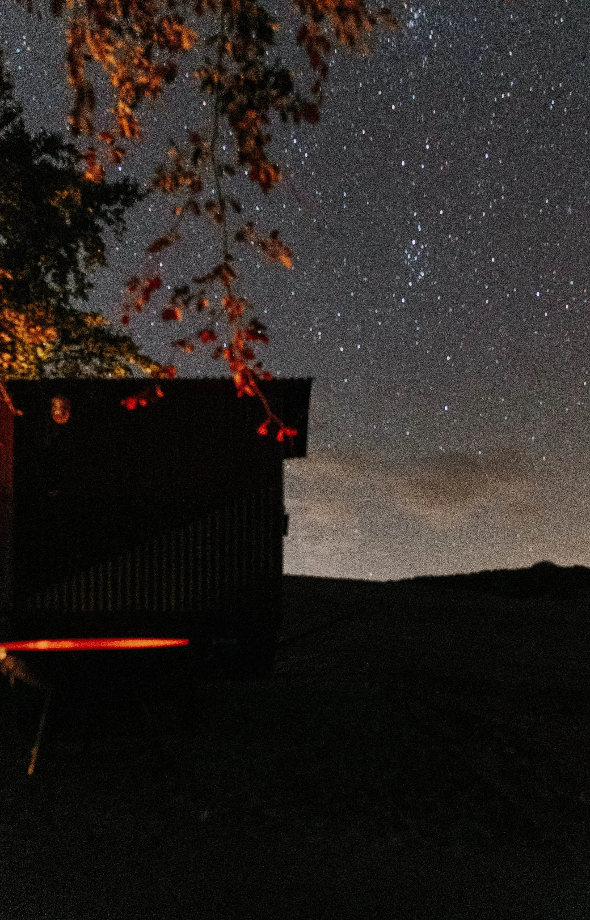 Nat 2 copy-min (1).jpeg