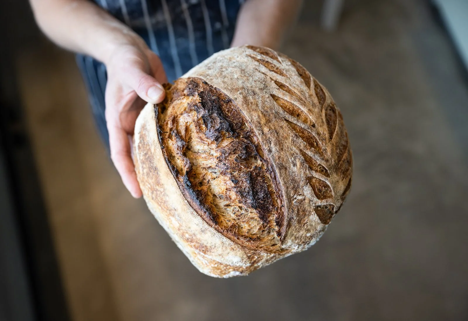 _H6A3061 _ 20221110- Photo_@mattjoko_web1600.jpg