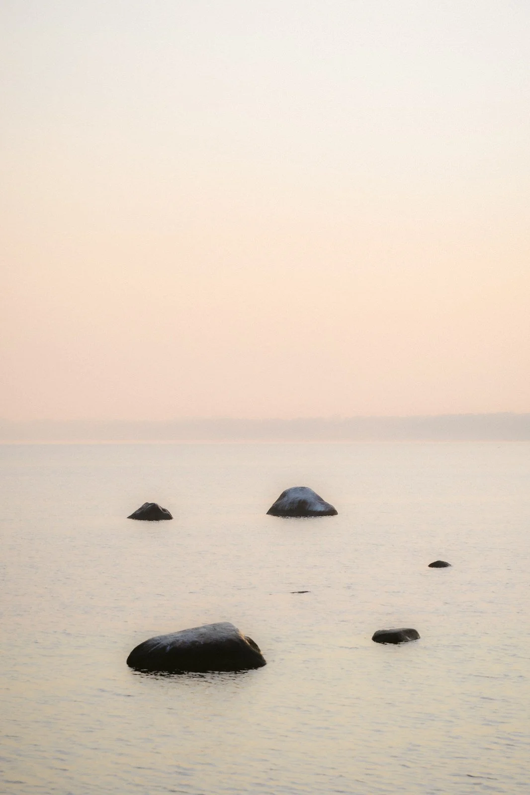 (_R3A9418 _ 20200923- Photo_@mattjoko).jpg