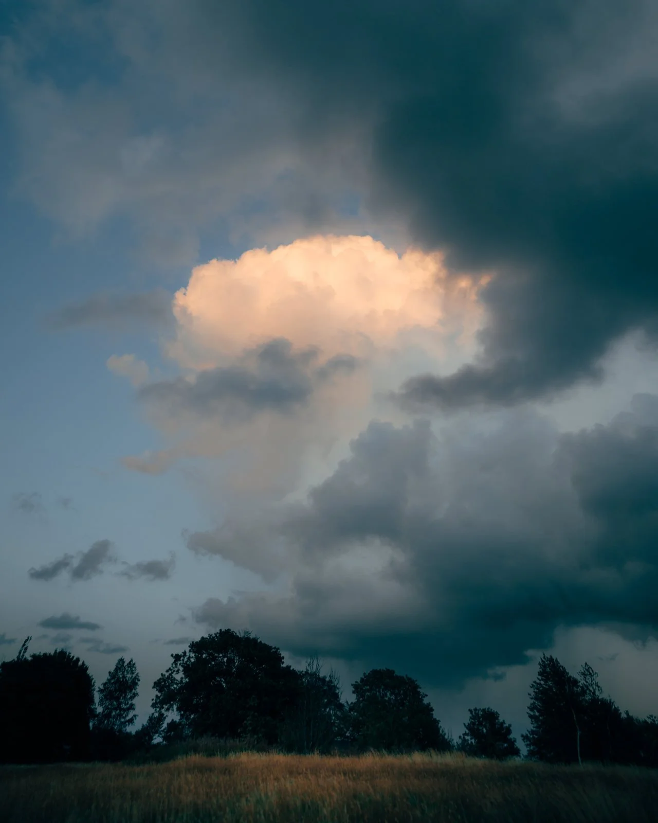 _R3A8302 _ 20200822- Photo_@mattjoko.jpg