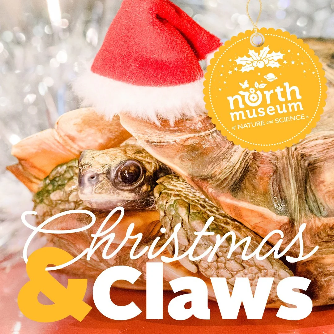 ChristmasandClaws-Social3-1080x1080.jpg