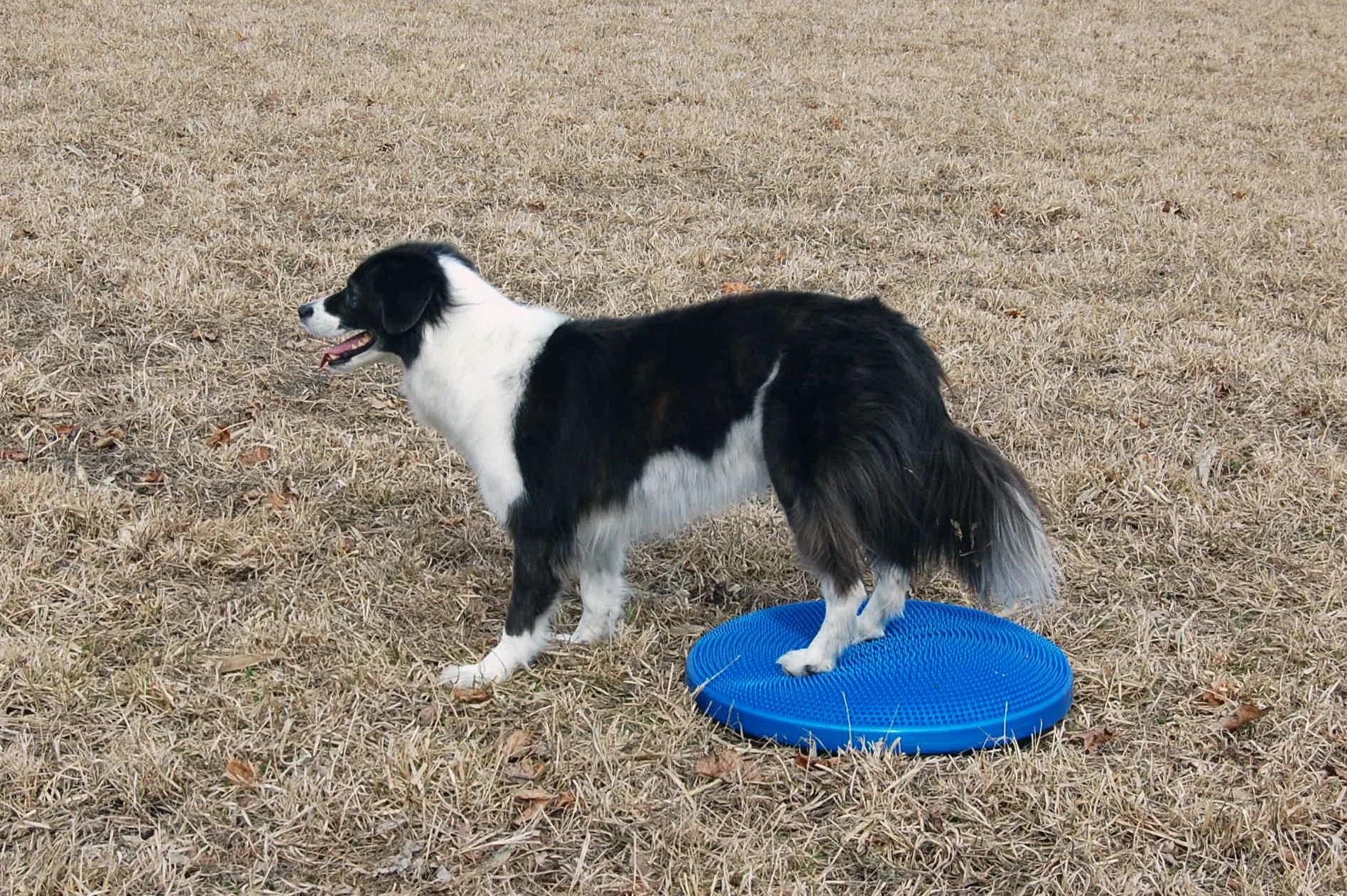 Fitness and Conditioning Seminar