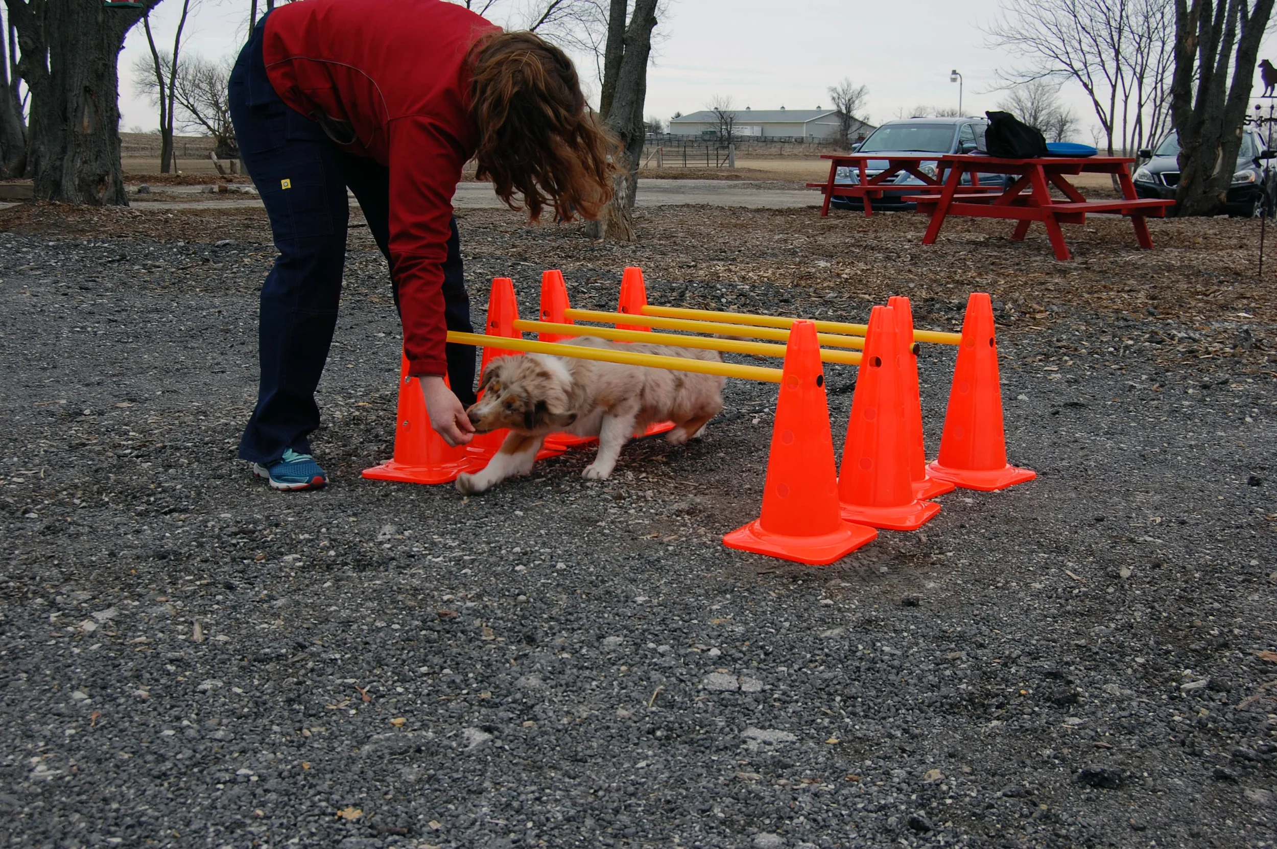FITNESS AND CONDITIONING SEMINAR