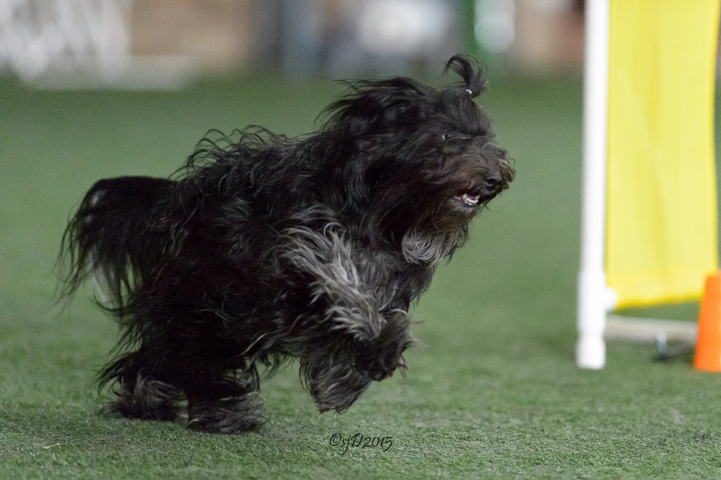 Thank you and April Weekends