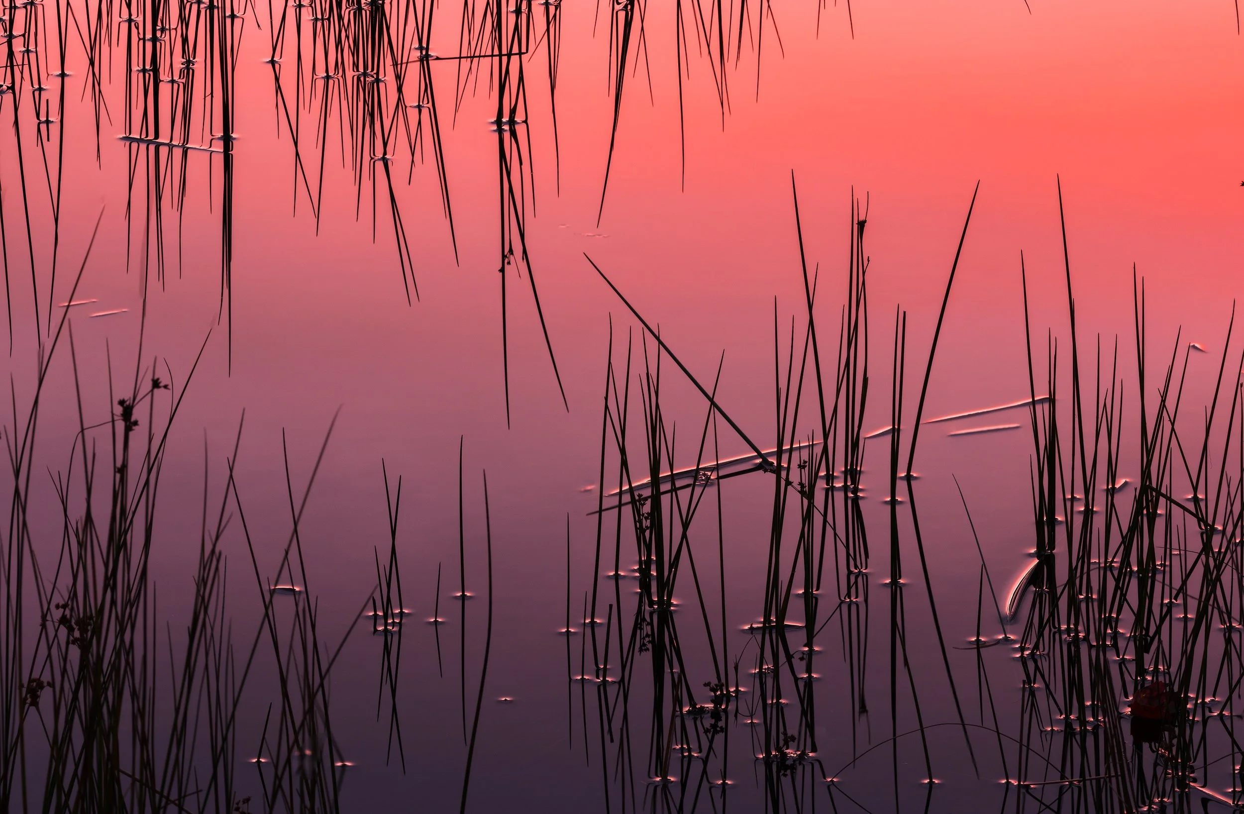 Meditations_Crop.jpg