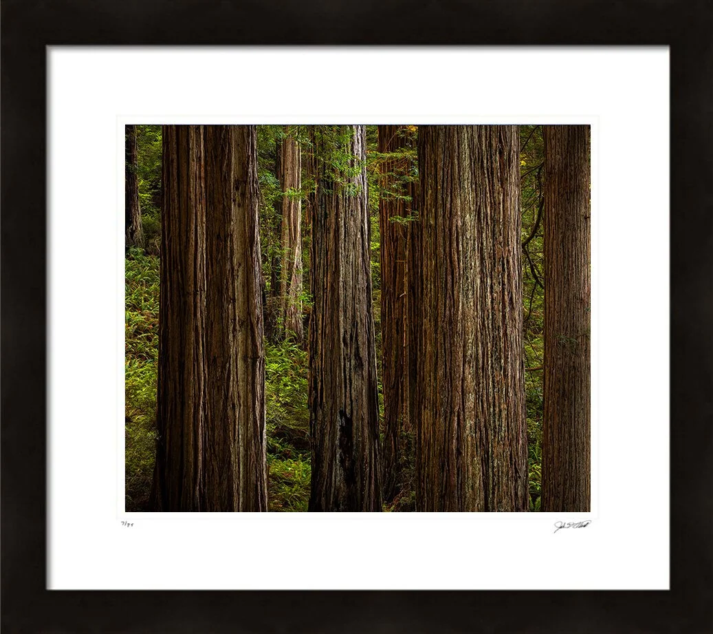 Hall of GiantsFramed Print.jpg