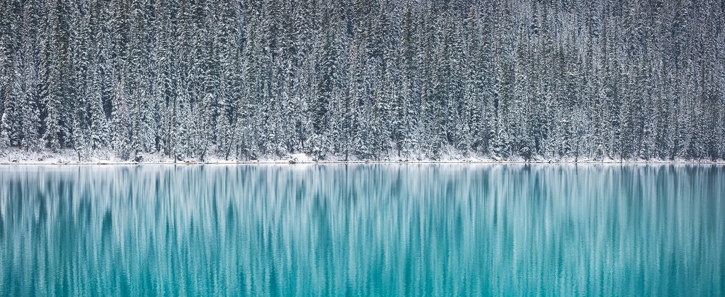 Lake Louise Winter Pano.jpg