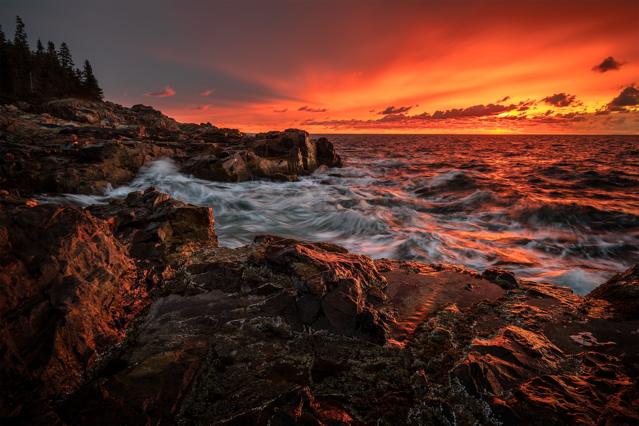 Molton Sunrise Acadia_IG.jpg