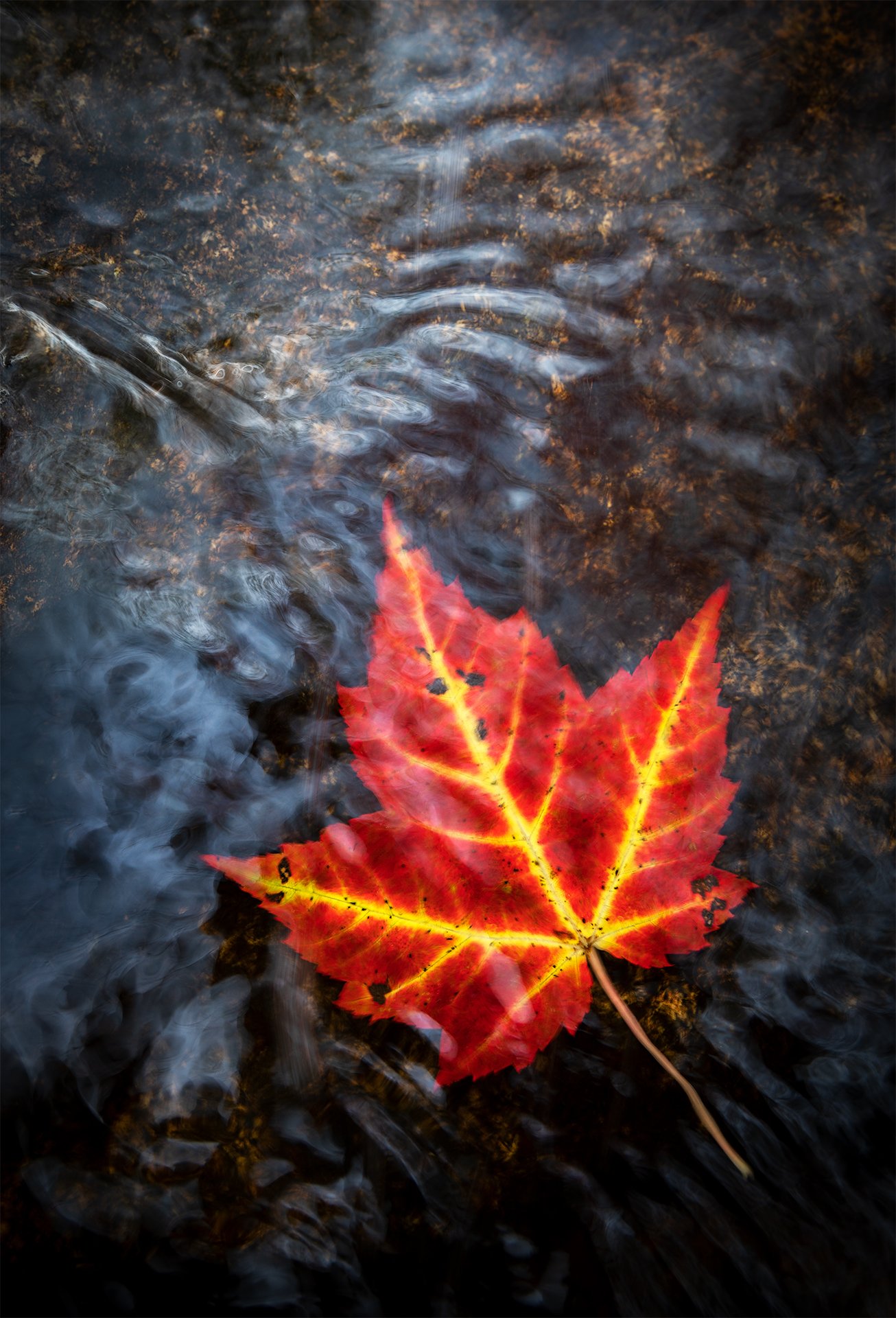 Autumn Rythm_.jpg