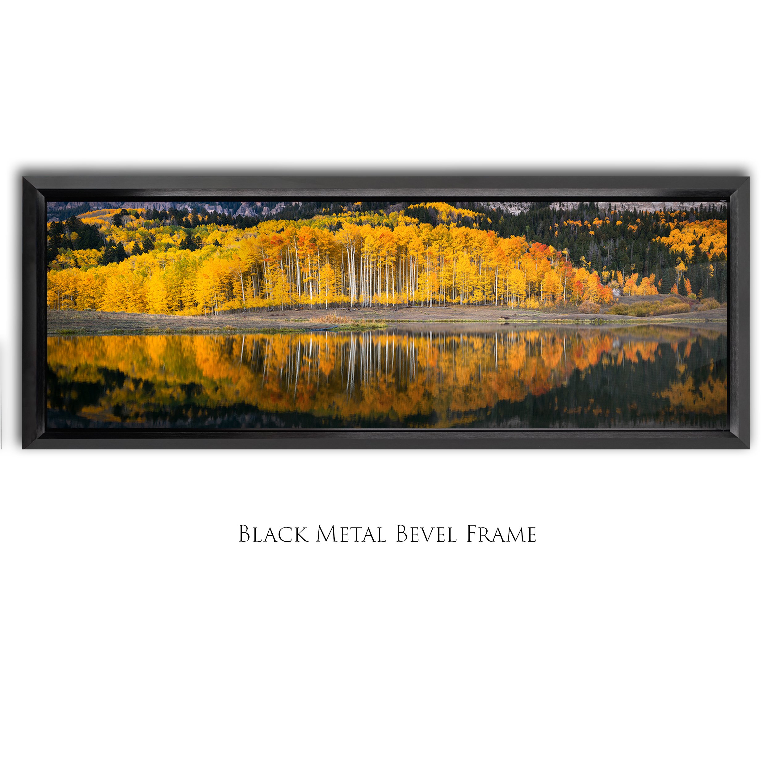 Peak of Perfection_1x3_Bevel Framed_Smart Object copy.jpg