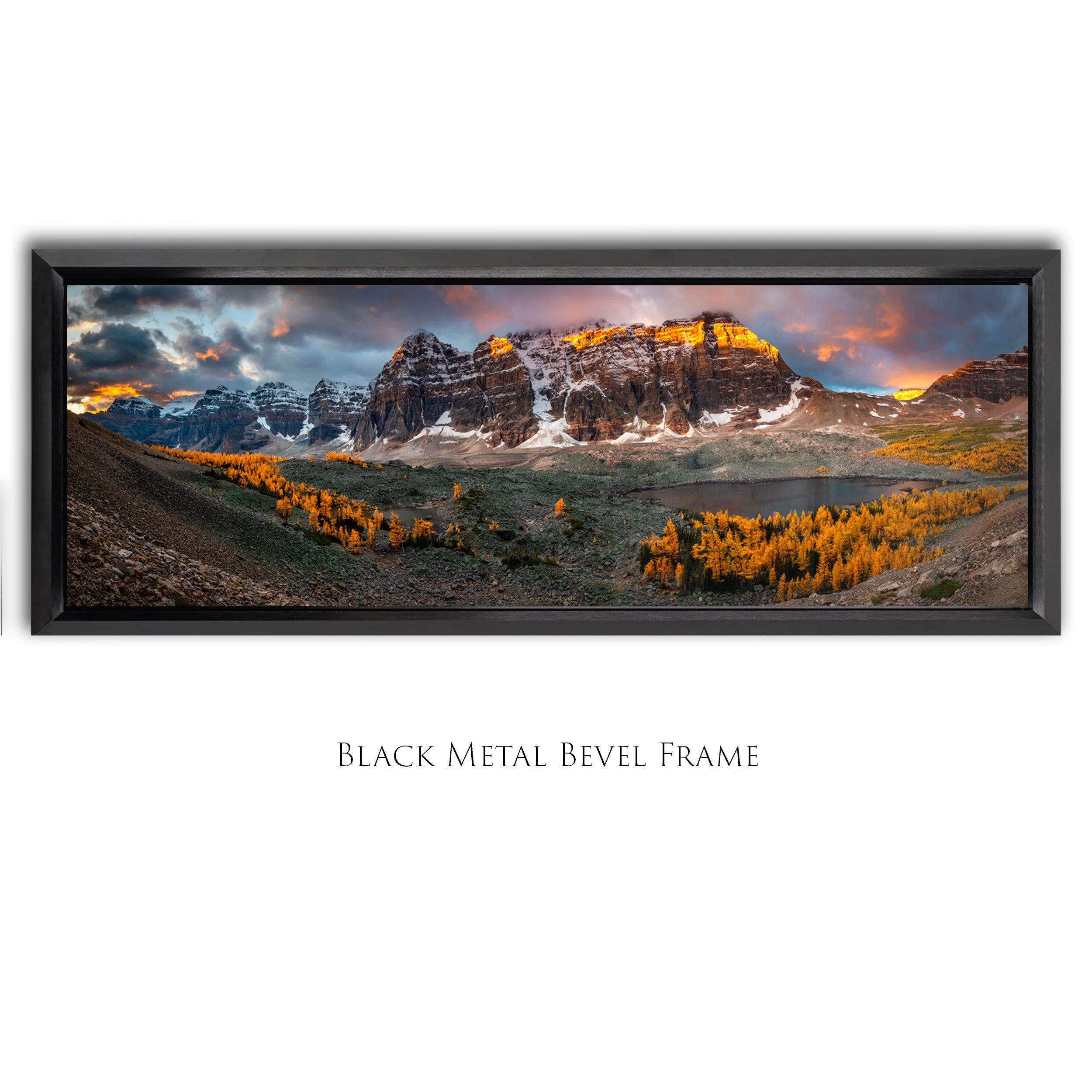 Valley of Giants_1x3_Bevel Framed_Smart Object copy.jpg
