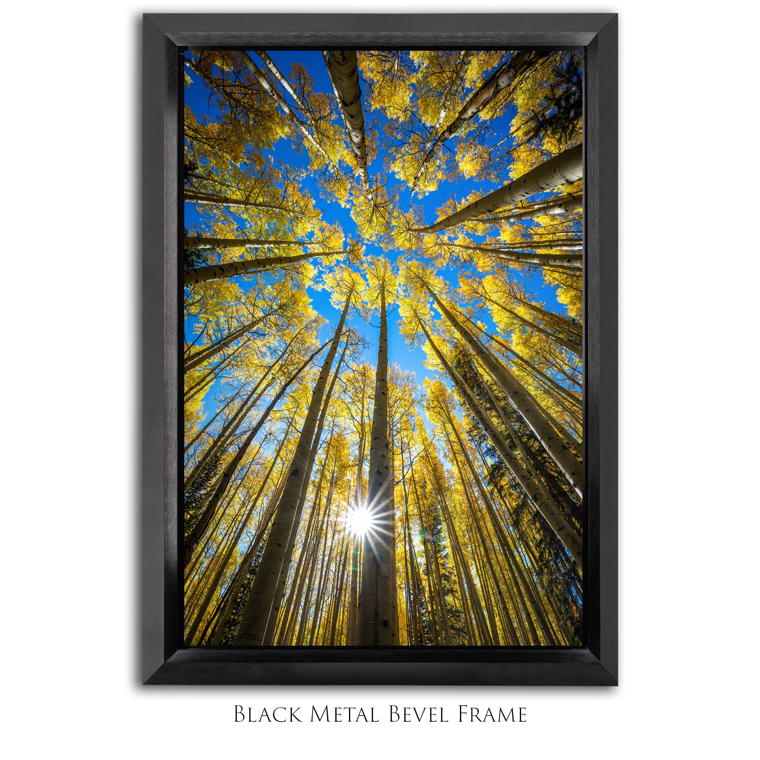 Upward_2x3_Vertical_Bevel Framed_Smart Object_Update copy 2.jpg