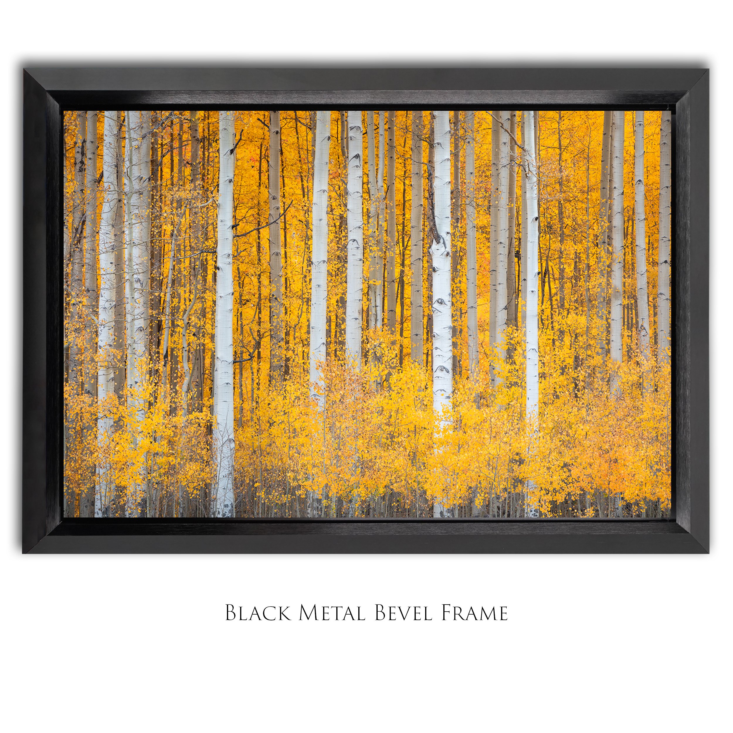 Firesticks_2x3_Bevel Framed_Smart Object_Update copy.jpg