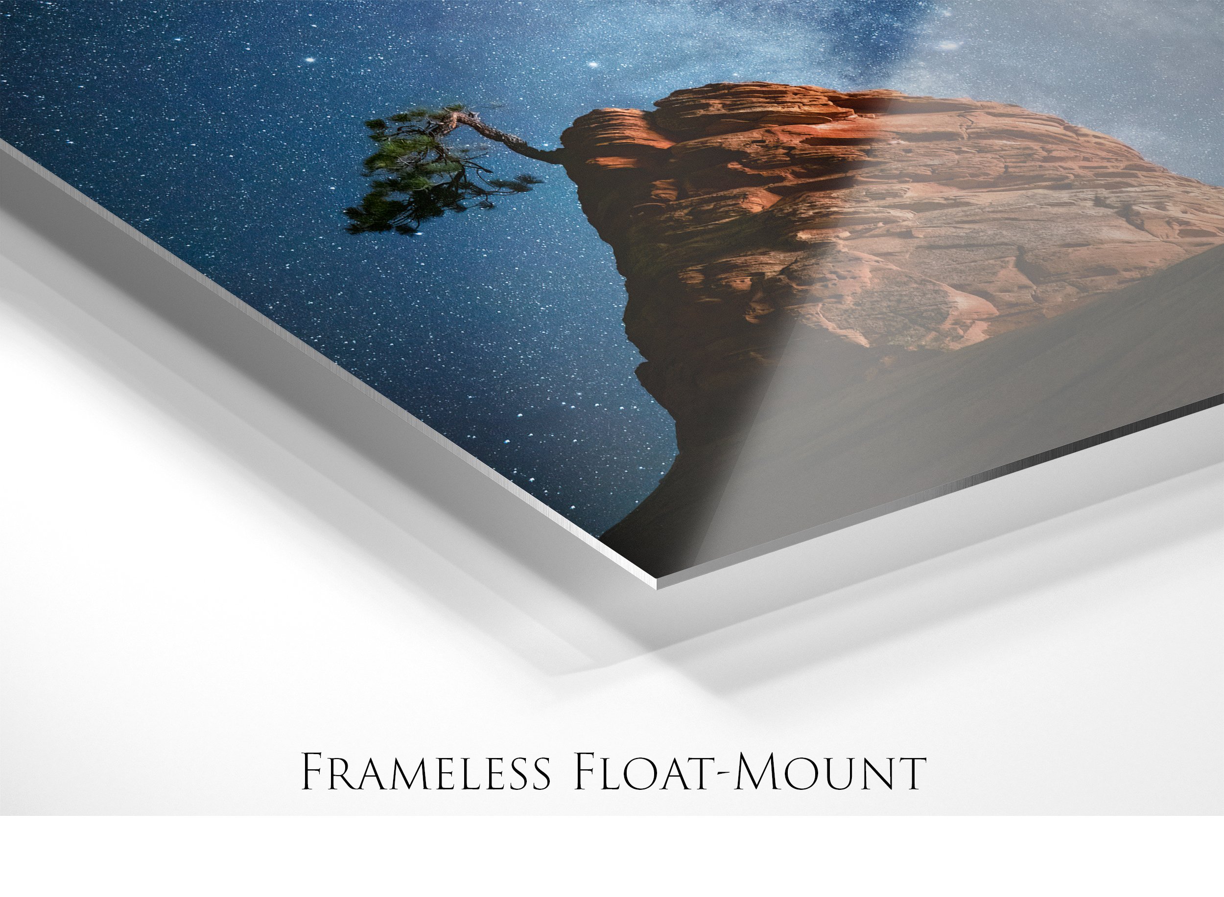 Hanging in There_Float Mount Corner_Glossy Aluminum_Smart Object copy.jpg