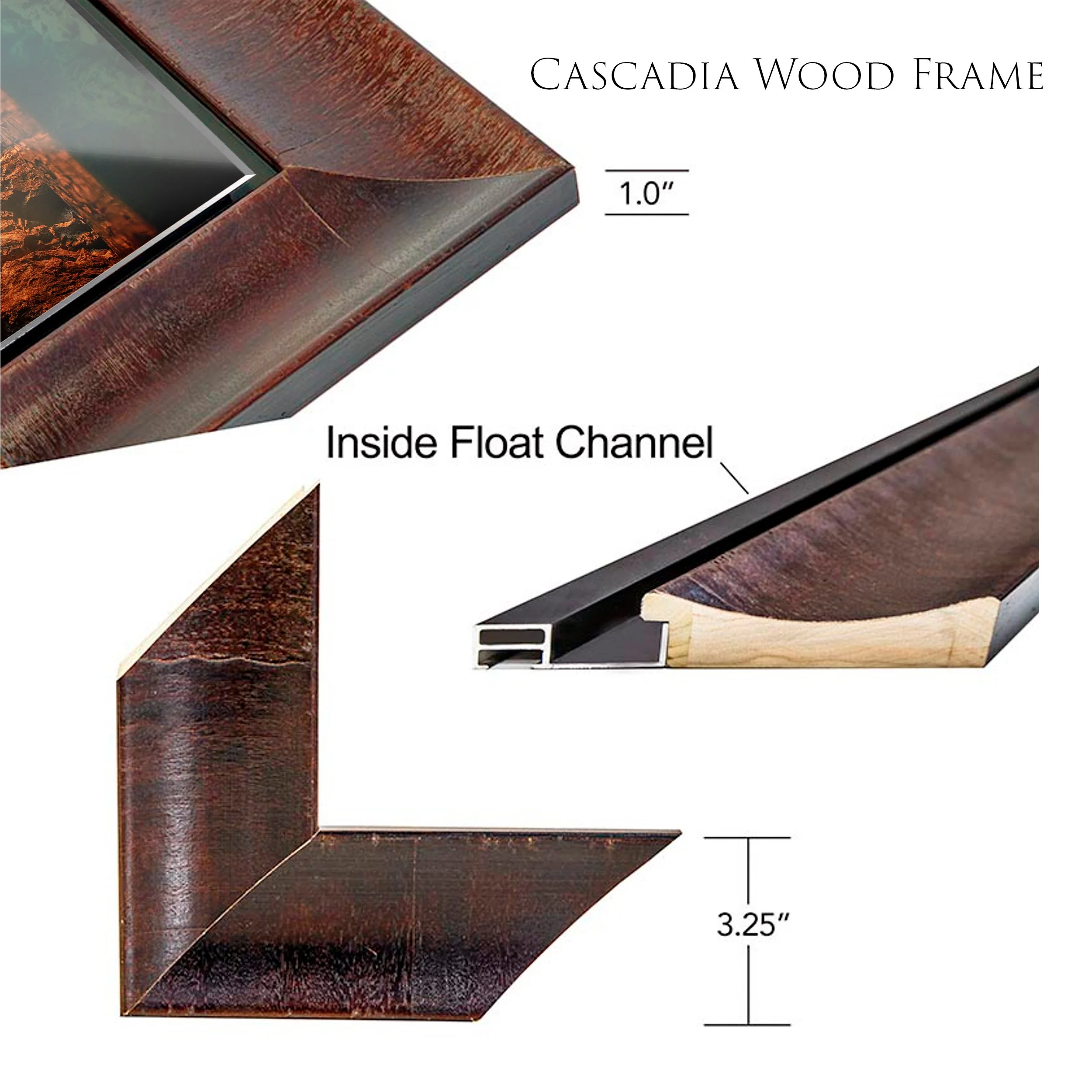 Minnesota Gold_Cascadia Profile_With Smart Object Corner copy.jpg