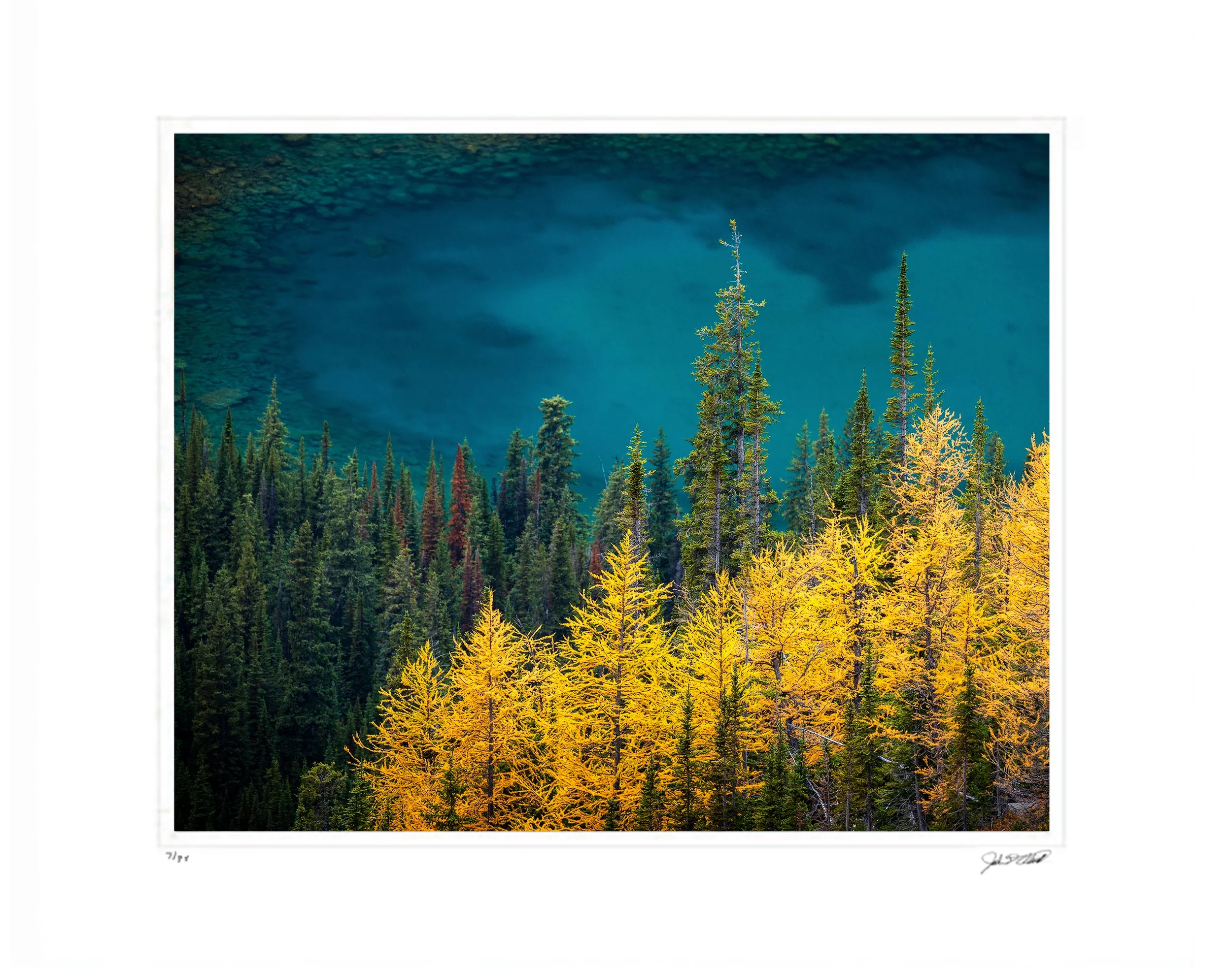 Consolation Prize_Matted w Sig and Num Layered Horizontal 2 copy.jpg