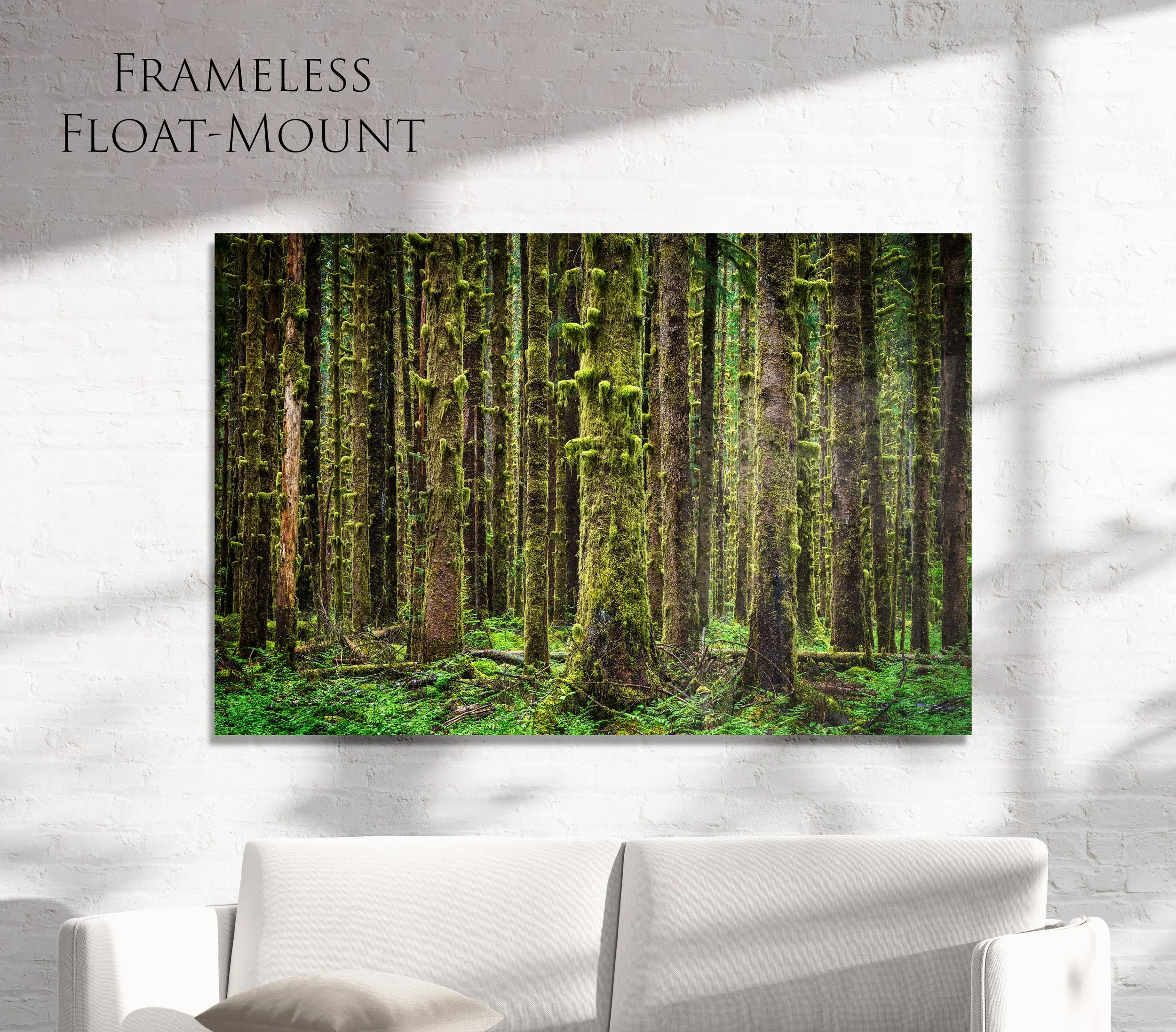 Forest of Antiquity_2x3_Horizontal_Floating copy.jpg