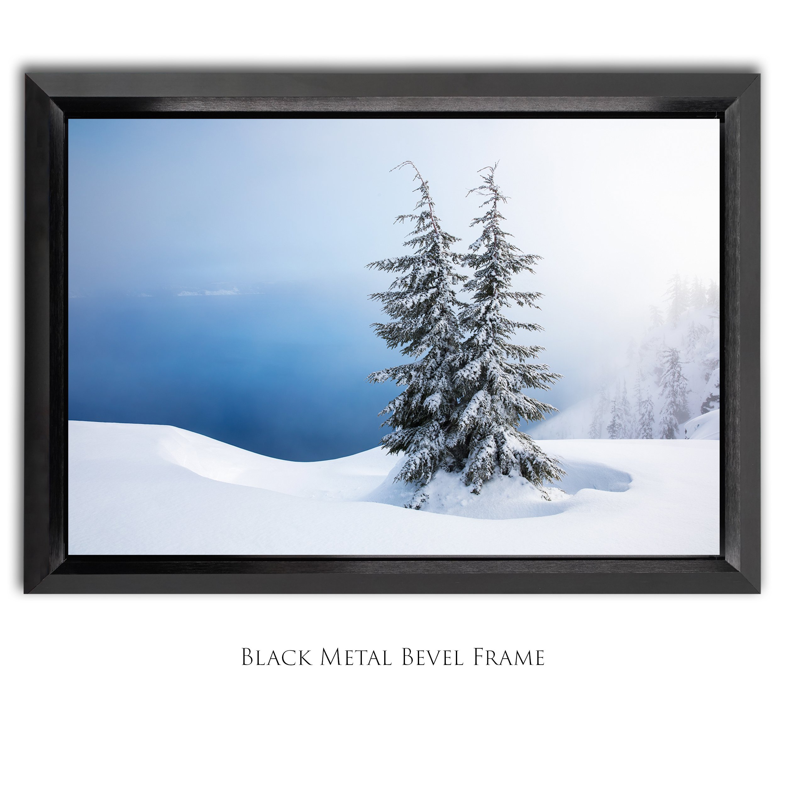 Winter Perch_2x3_Bevel Framed_Smart Object_Update copy.jpg