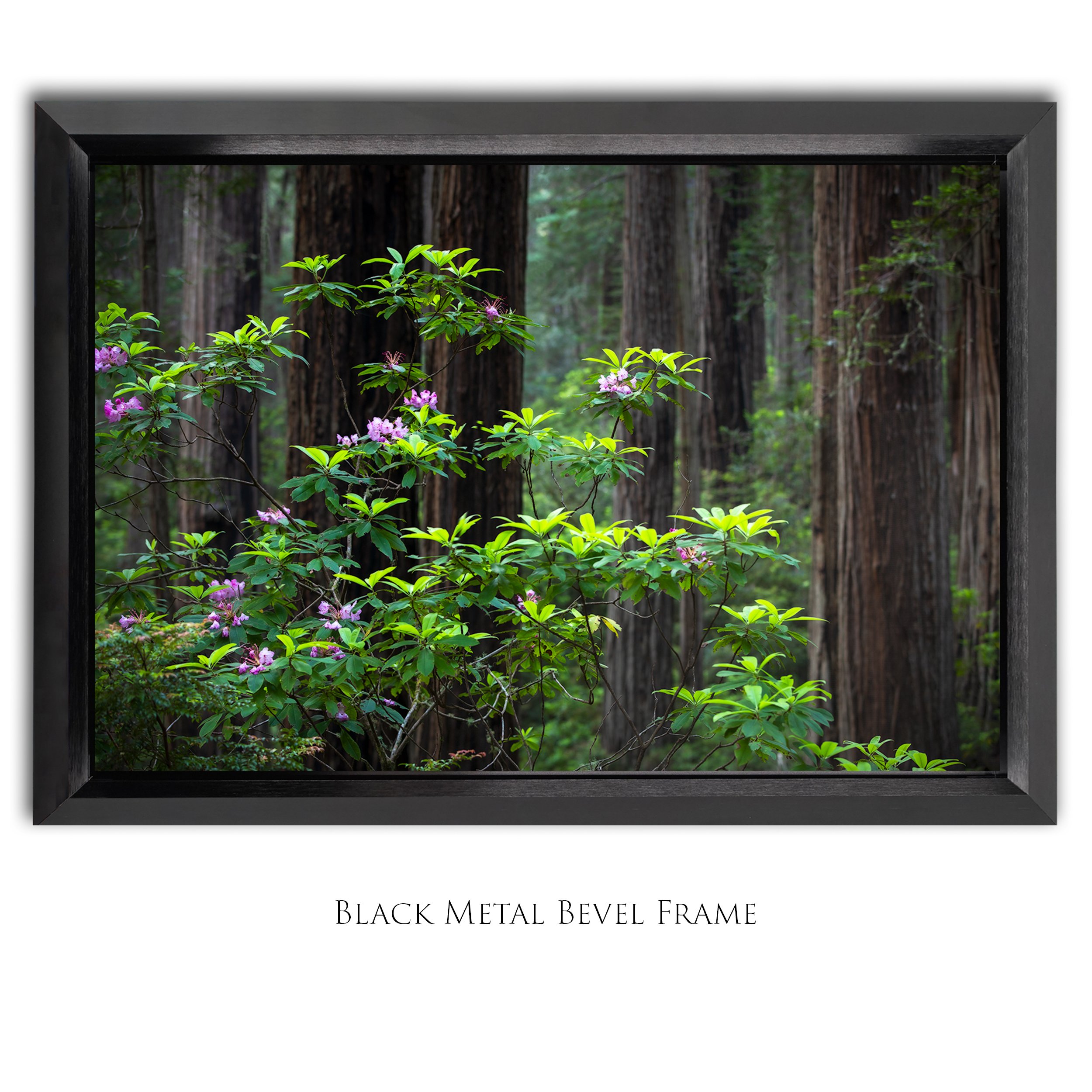Idyllic_2x3_Bevel Framed_Smart Object_Update copy.jpg
