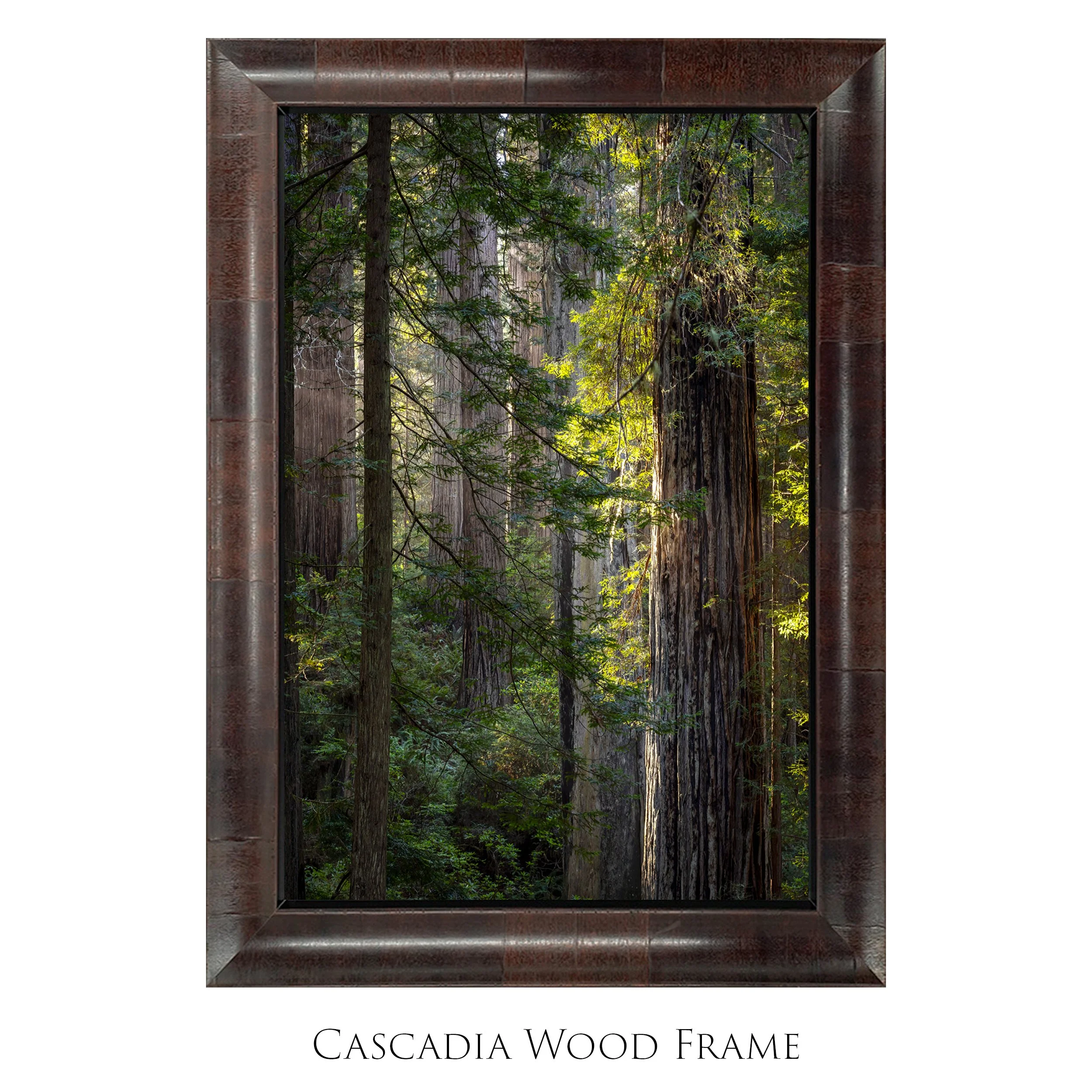Del Norte Redwoods_2x3_Vertical_Cascadia Framed Mockup_Smart Object copy 2.jpg