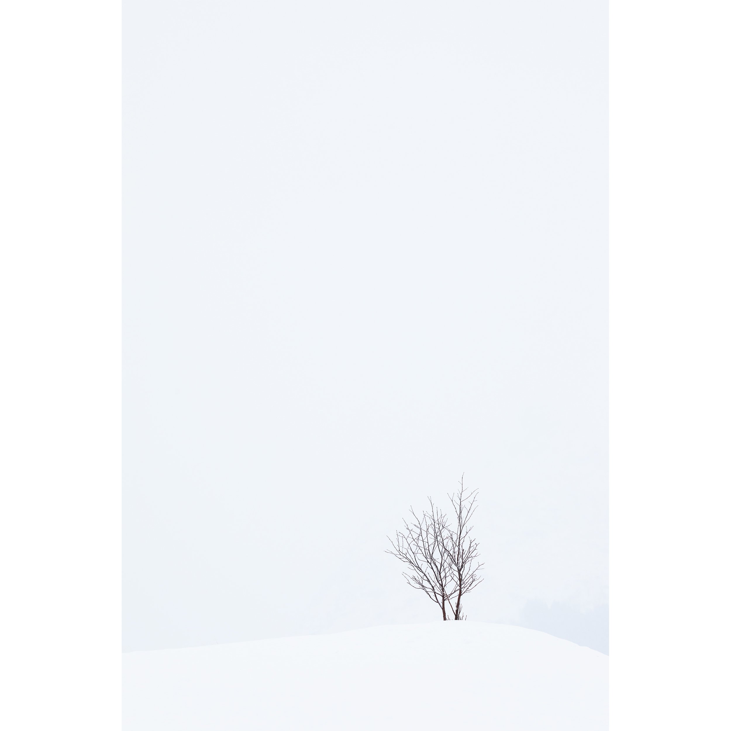 The Introvert_Square.jpg