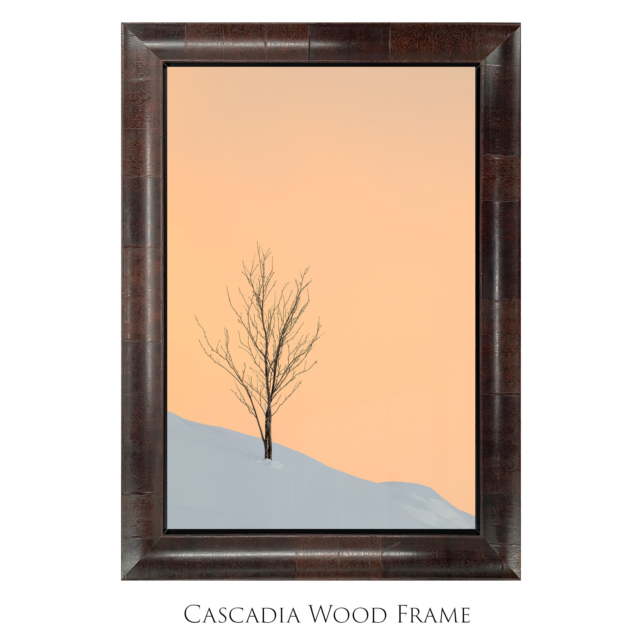 Alone_2x3_Vertical_Cascadia Framed Mockup_Smart Object copy 2.jpg