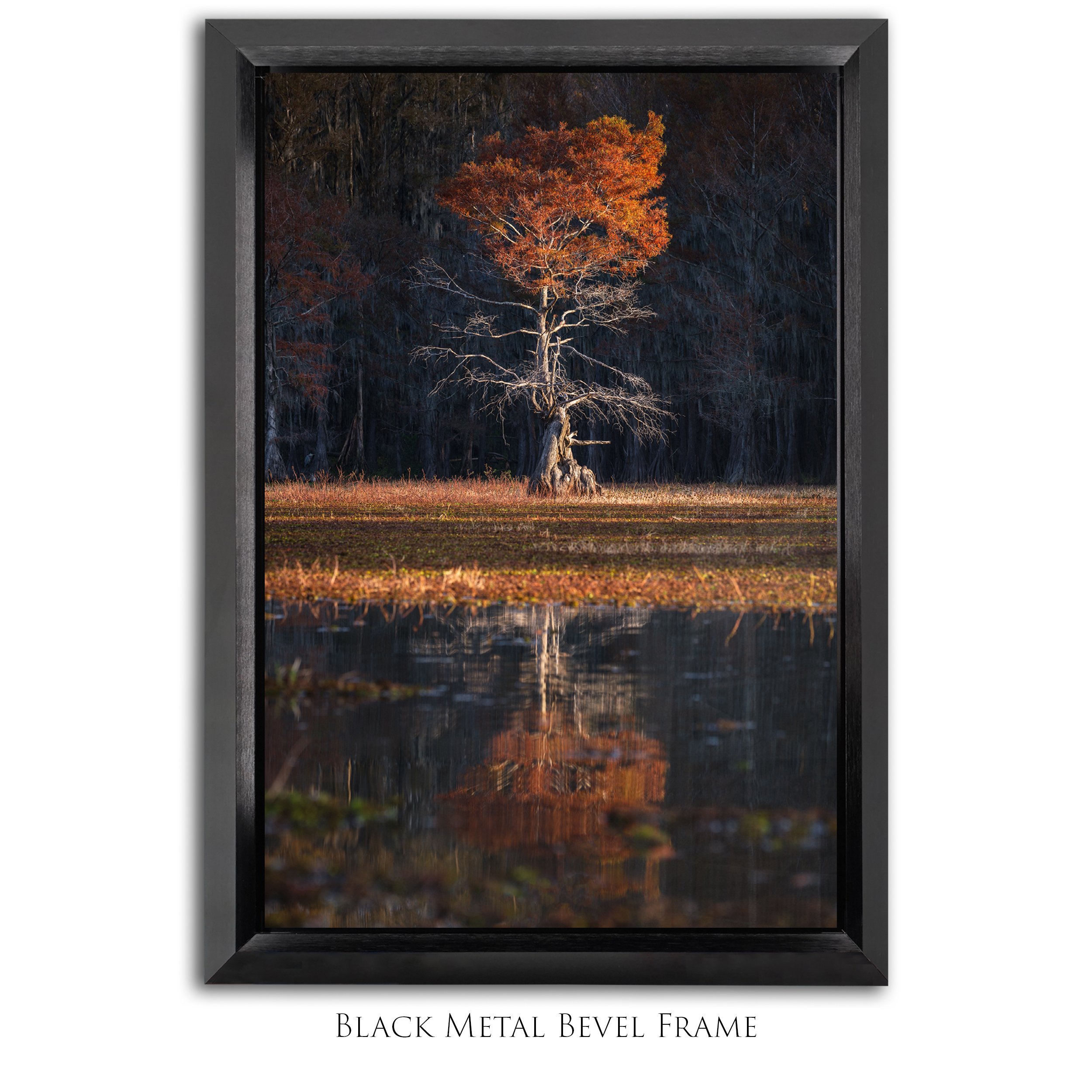 Standoffish_2x3_Vertical_Bevel Framed_Smart Object_Update copy 2.jpg