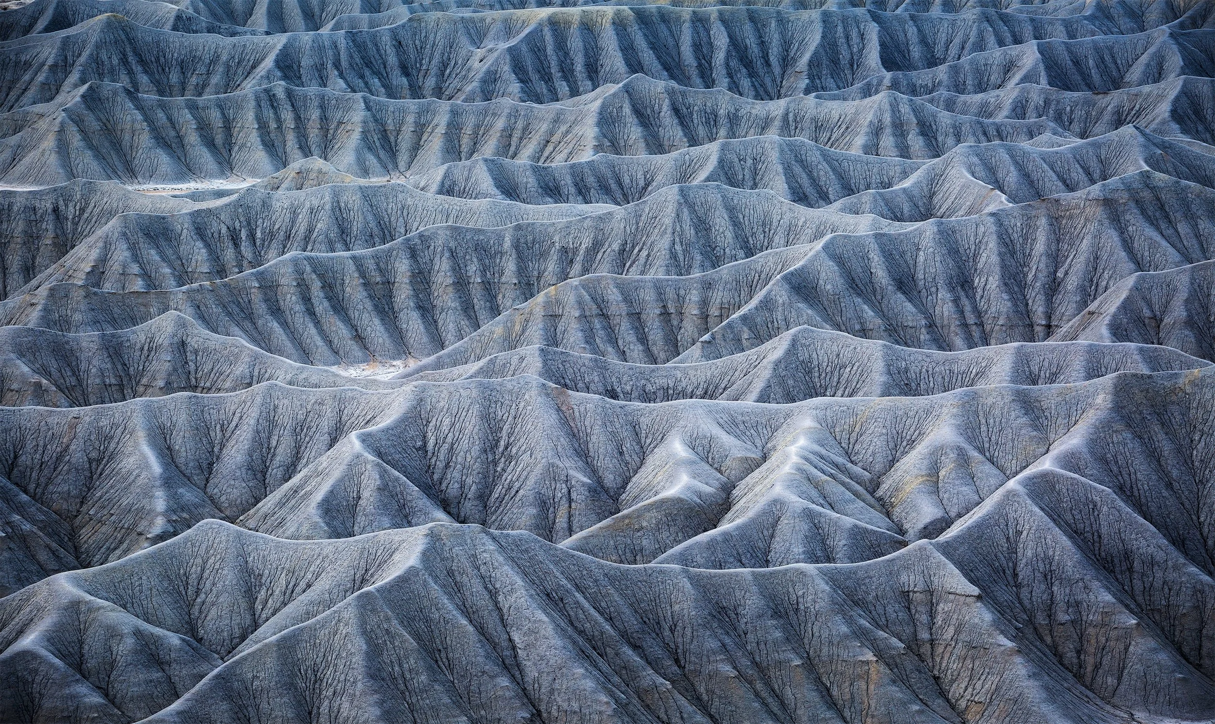 Sea of Badlands.jpg