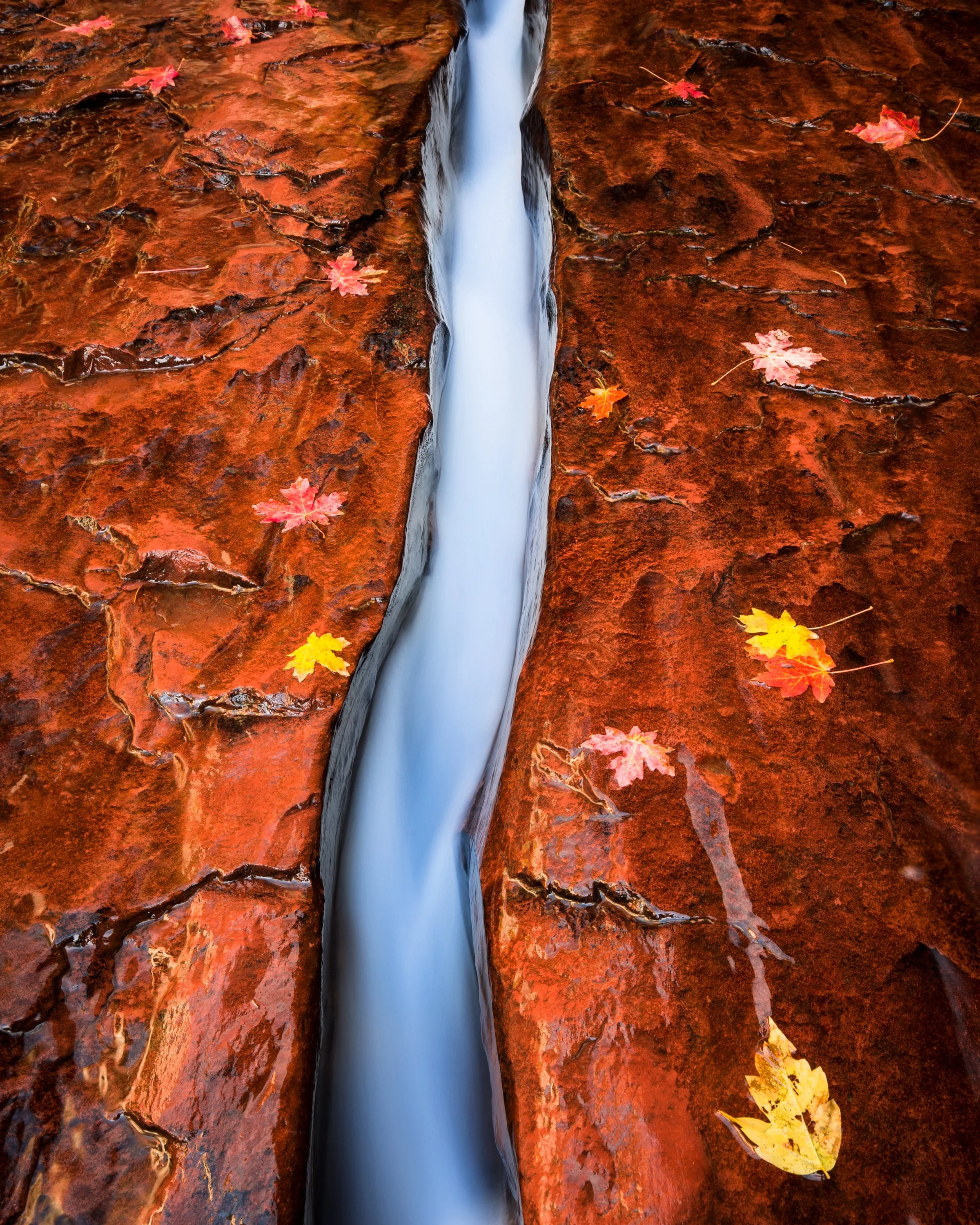 The Crack_8x10.jpg