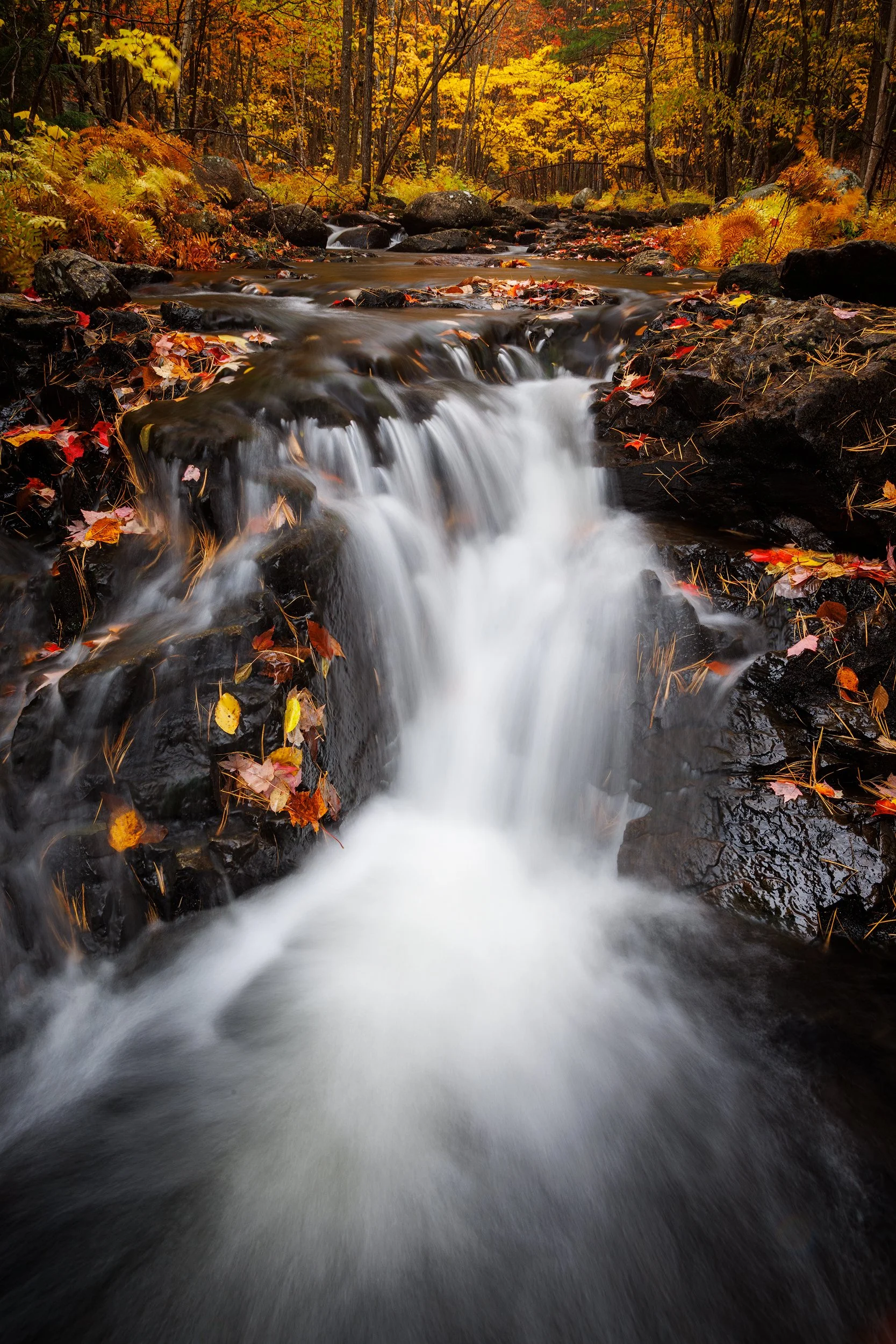 Duck-Brook-Cascade.jpg