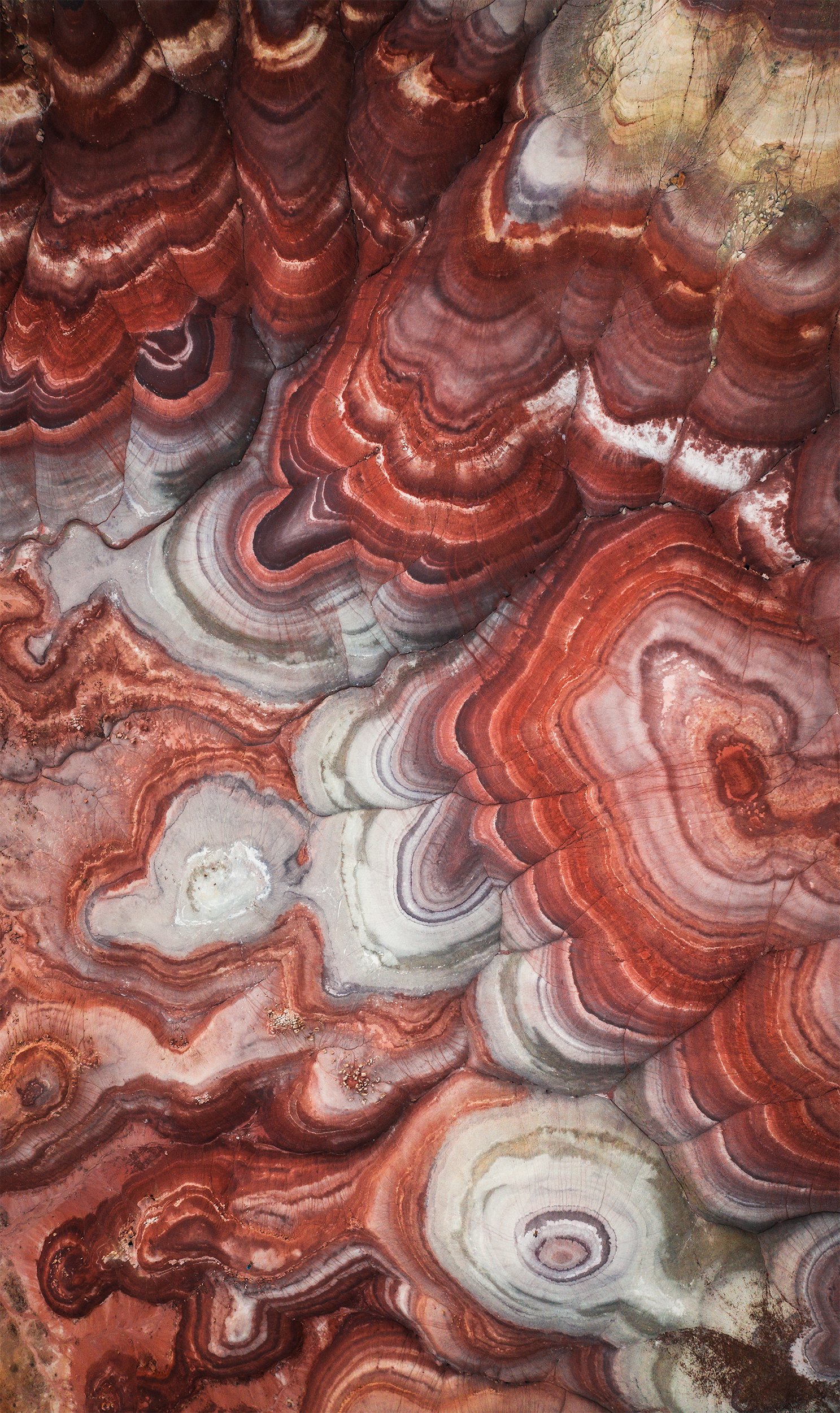 Red Planet Aerial_IG.jpg