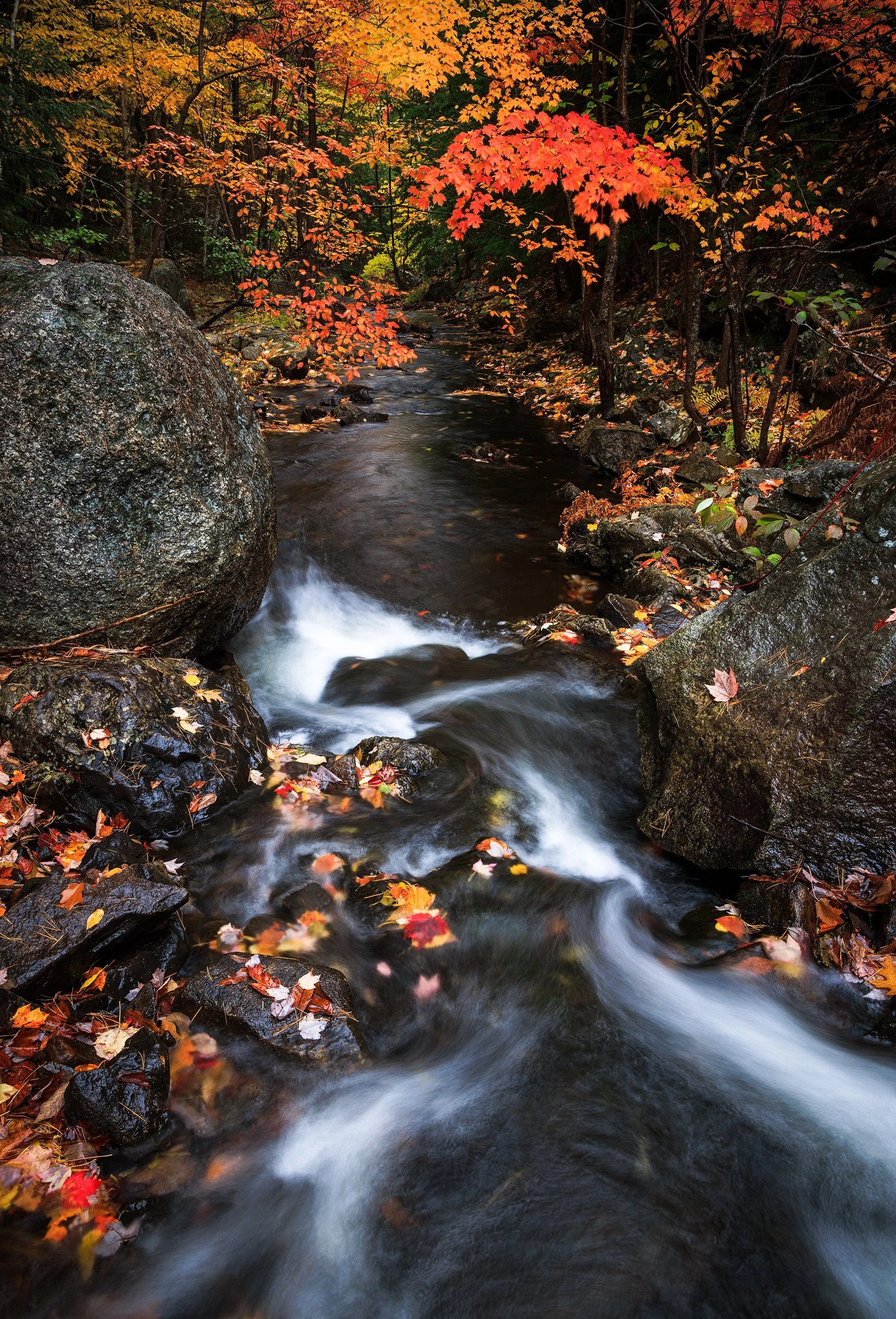 Autumn-Watercourse.jpg