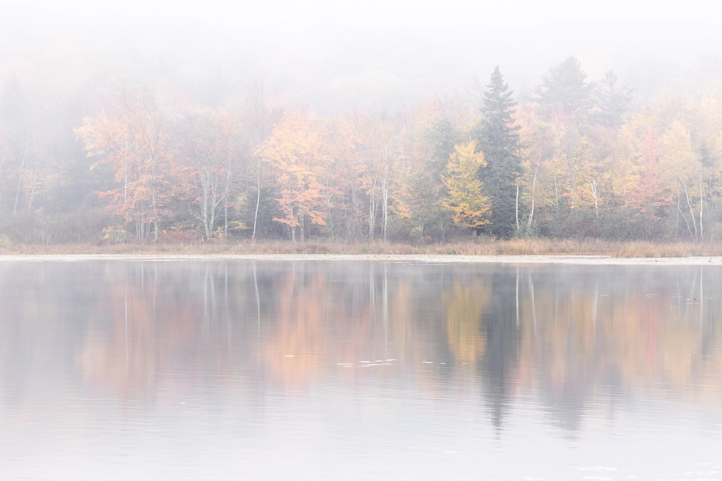 On-Beaver-Dam-Pond.jpg