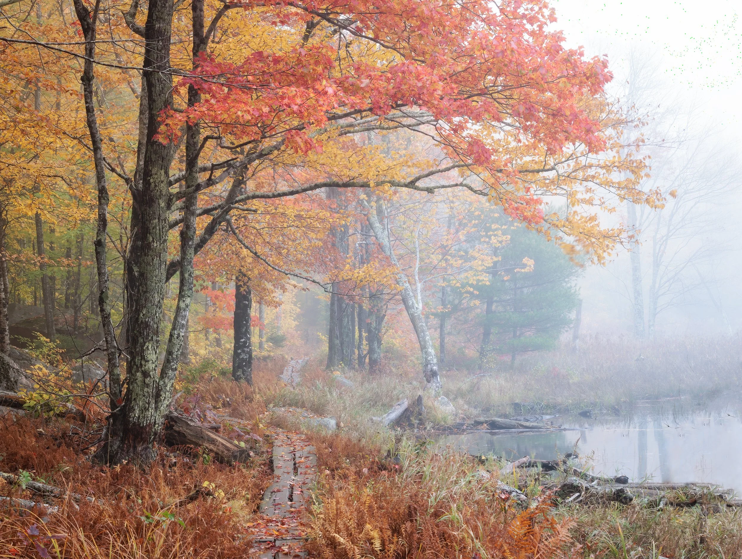 Quintesential-New-England.jpg