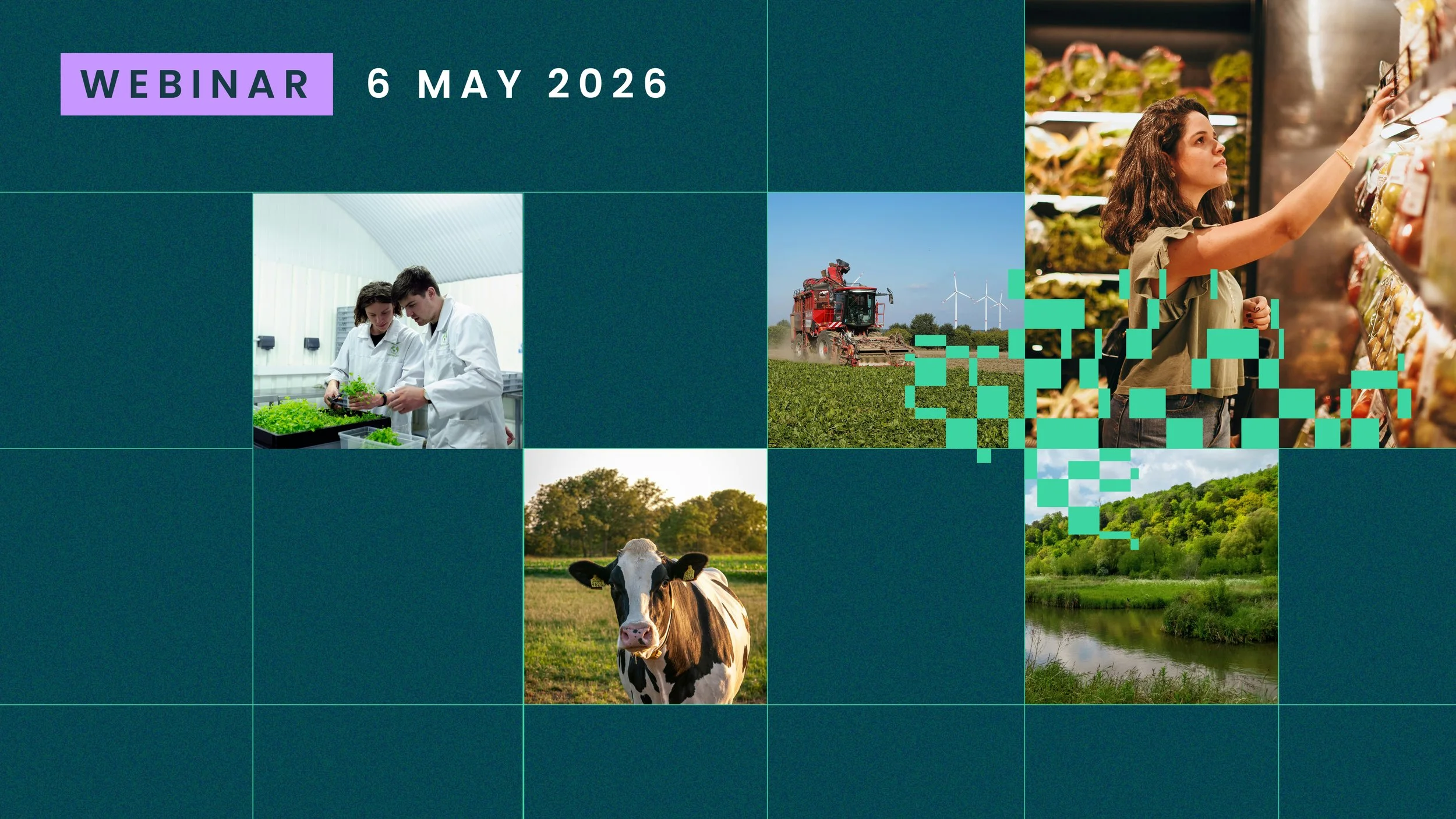 Our food system is broken -                         how do we fix it?