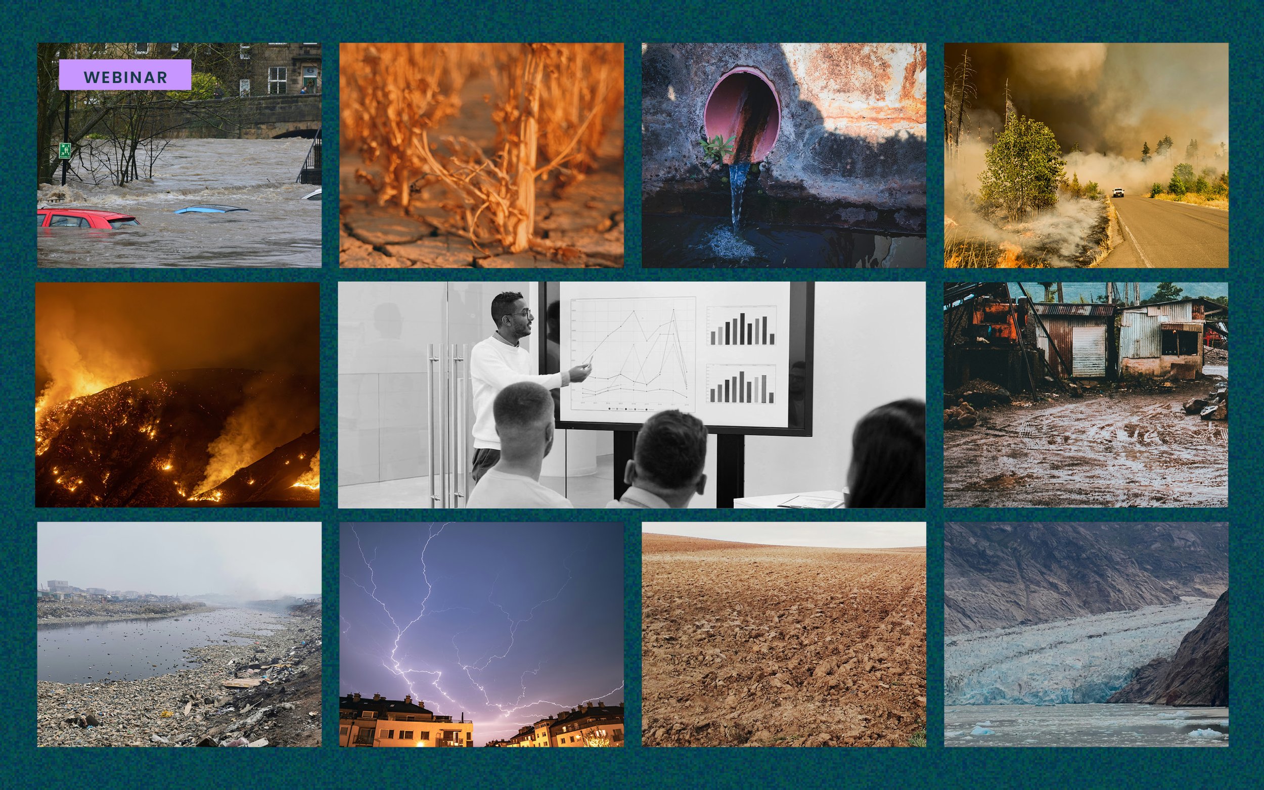 Nature’s collapse is making headlines – why isn’t it making it into your buying decisions?&nbsp;