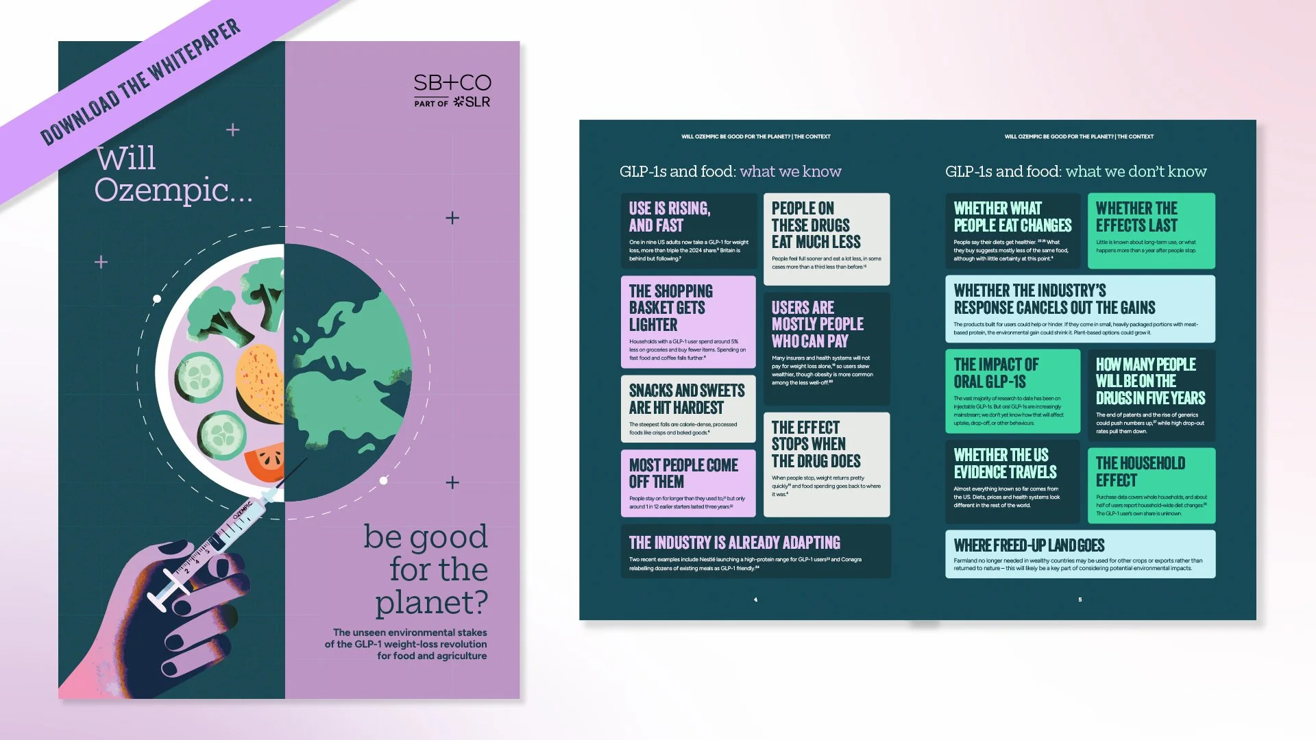 Will Ozempic be good for the planet – download the whitepaper