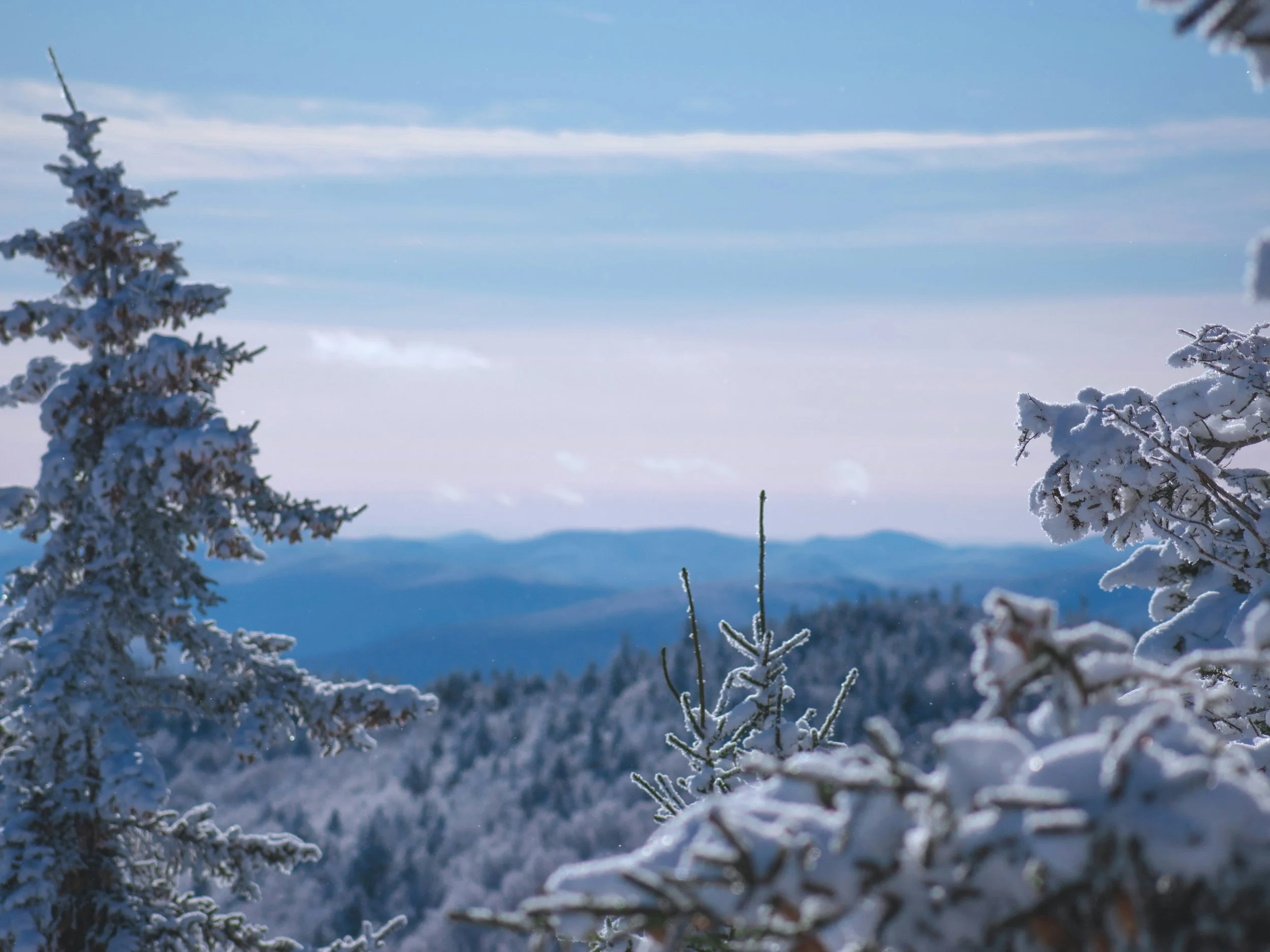 Why Essence Social is Essential for Stowe Businesses