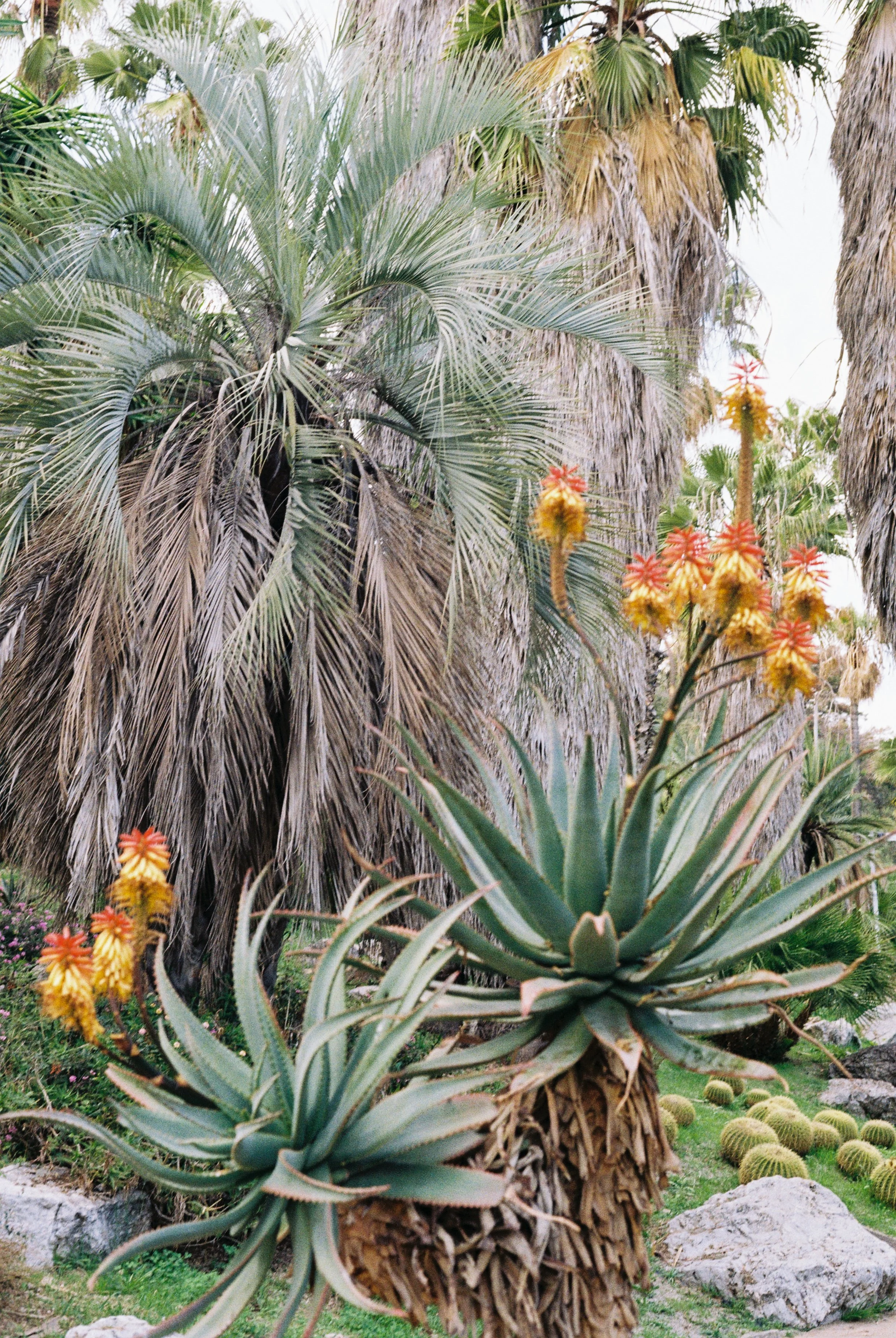 35MM - 2026 - BARCELONA 2-5.jpg