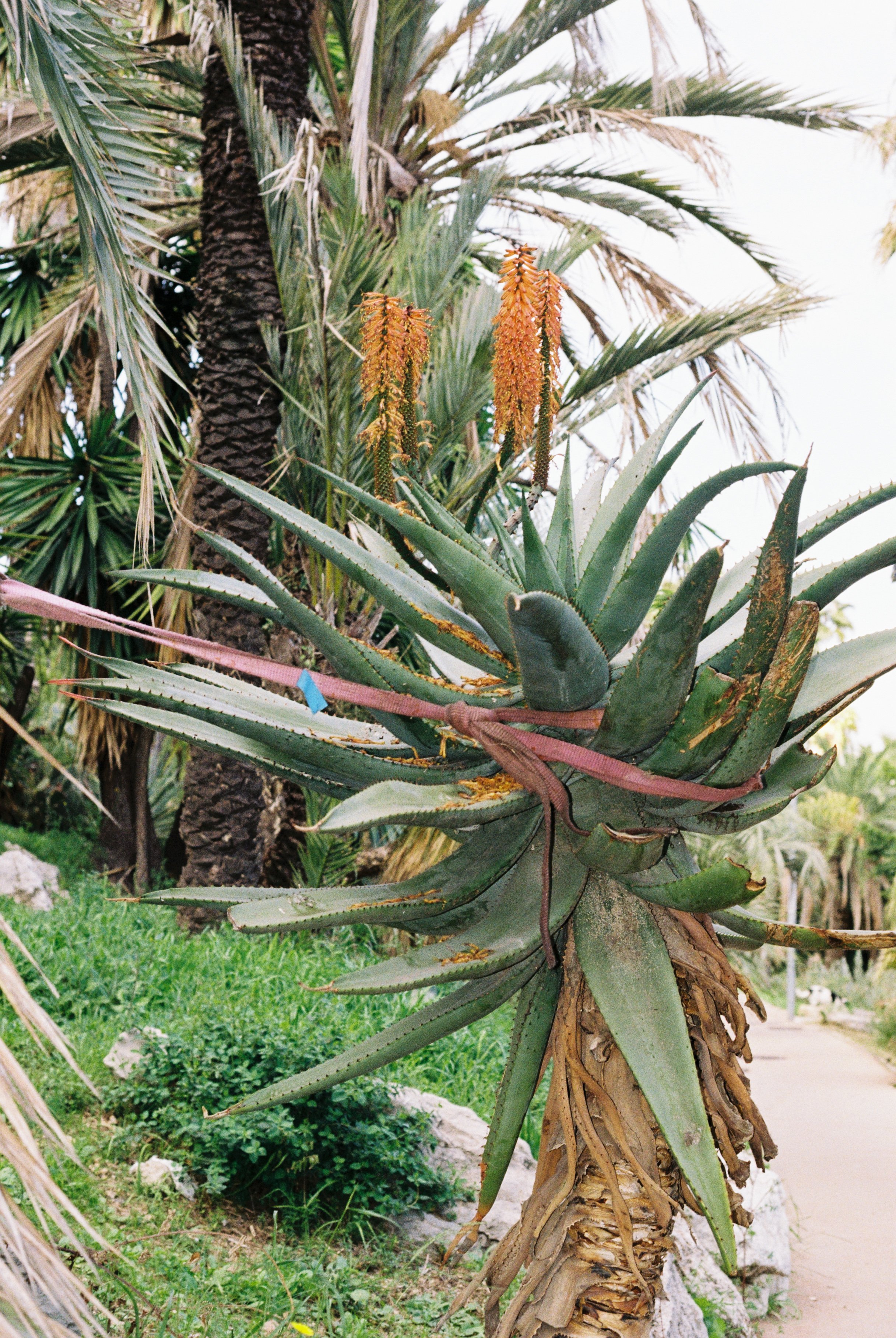 35MM - 2026 - BARCELONA 2-4.jpg