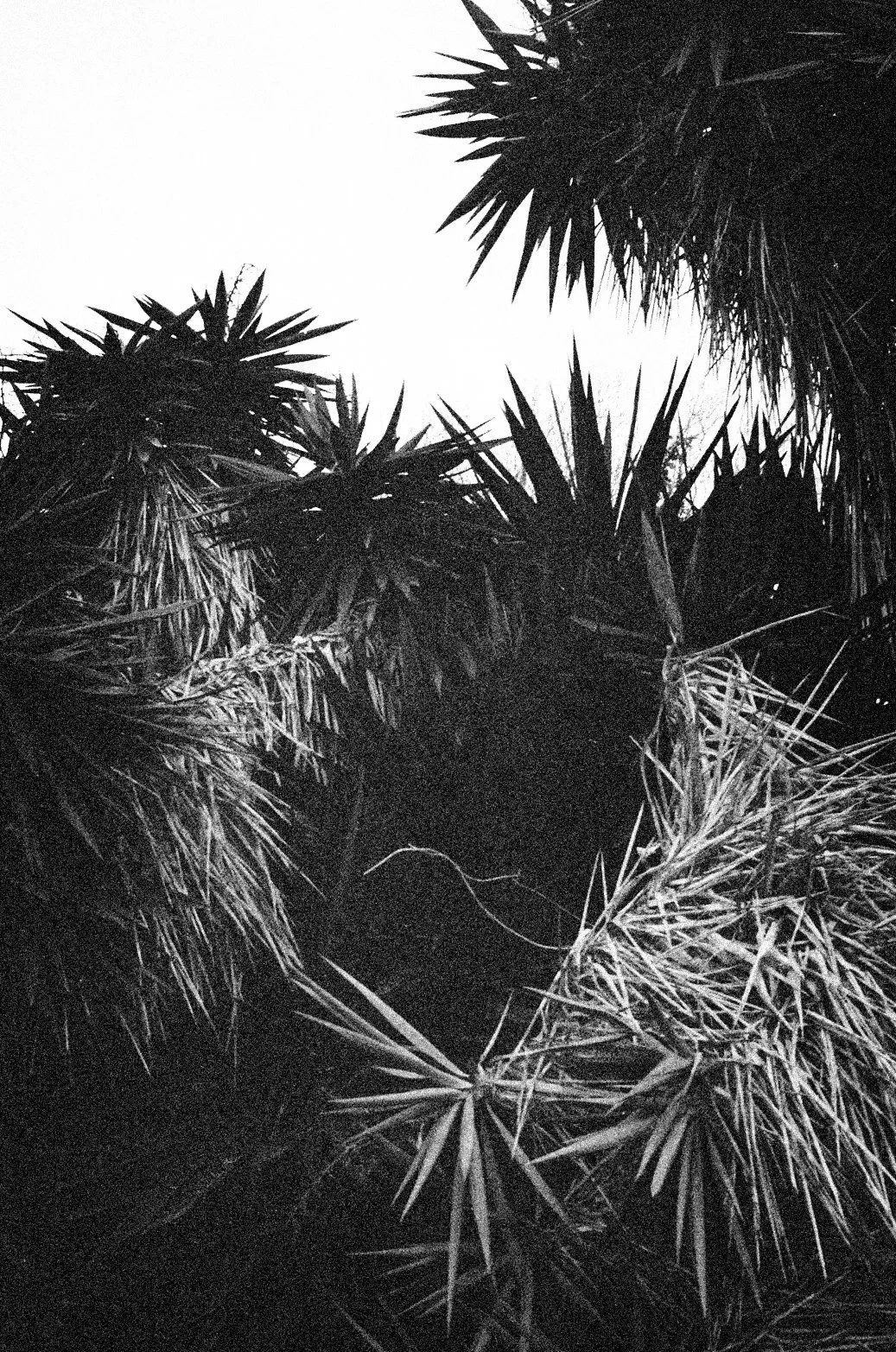 35MM - 2026 - BARCELONA-13.jpg