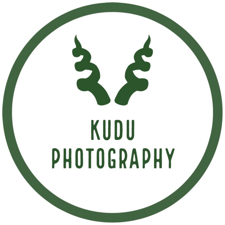 Kudu Photography