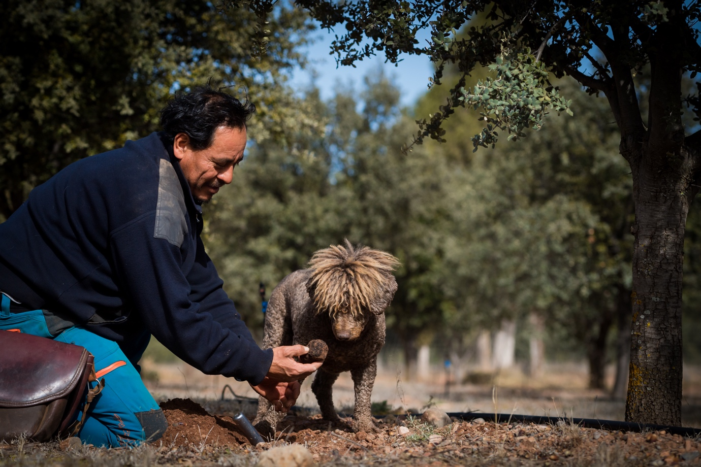 A man crouching in a park with an African hairless dog, both focused on a small object on the ground.