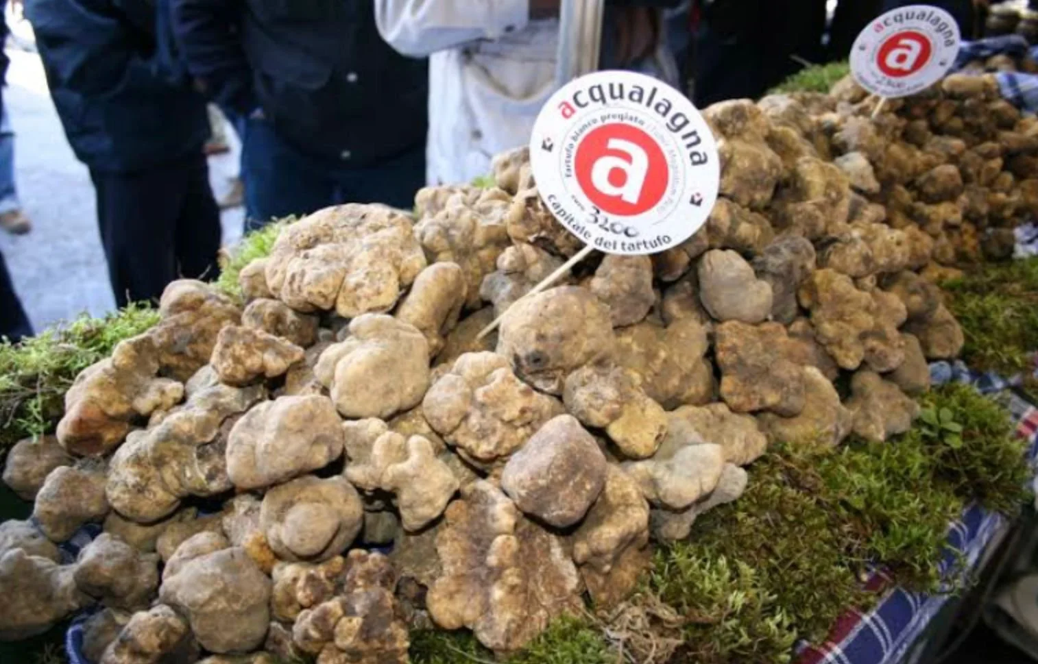 アクアラーニャの白トリュフ