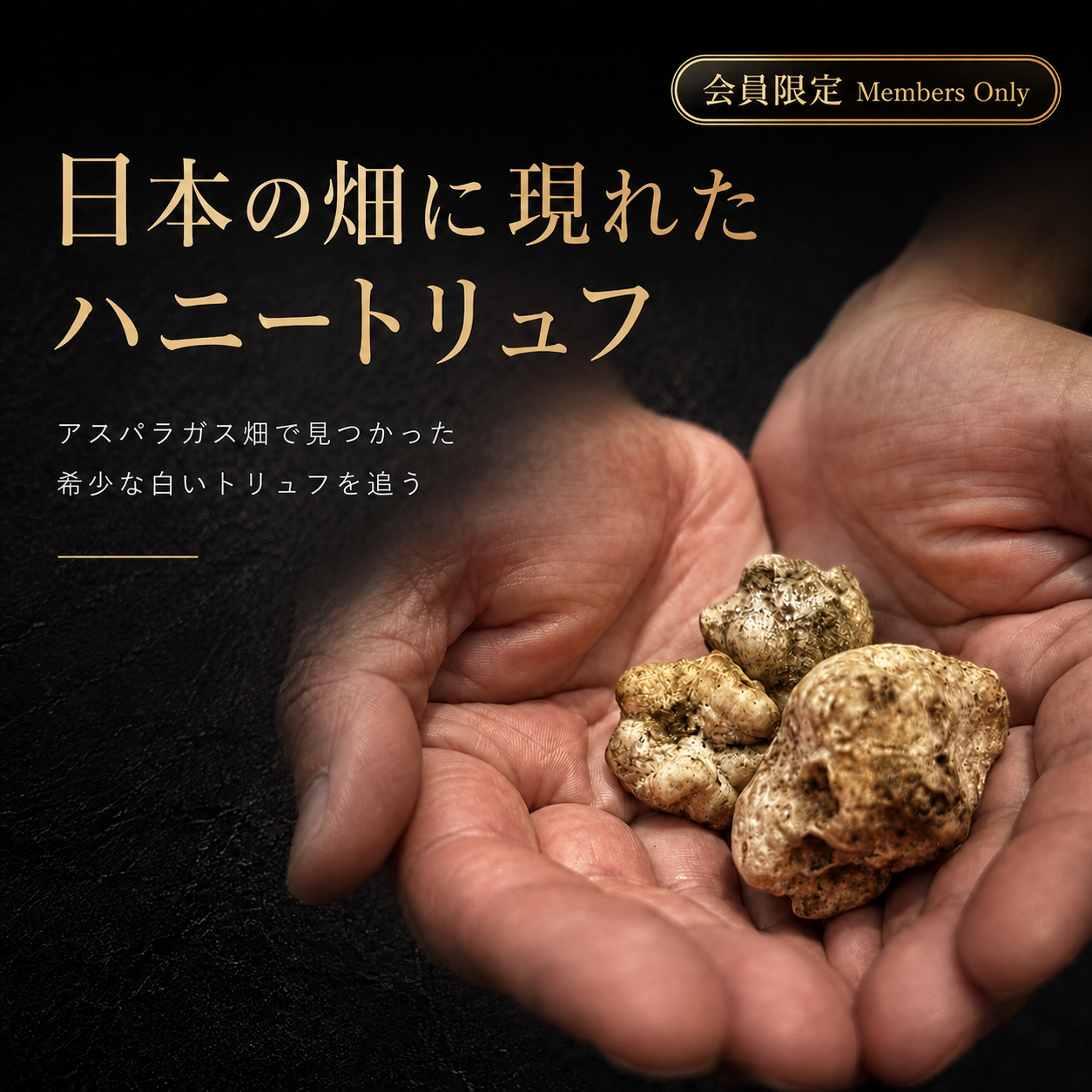 honey truffle japan