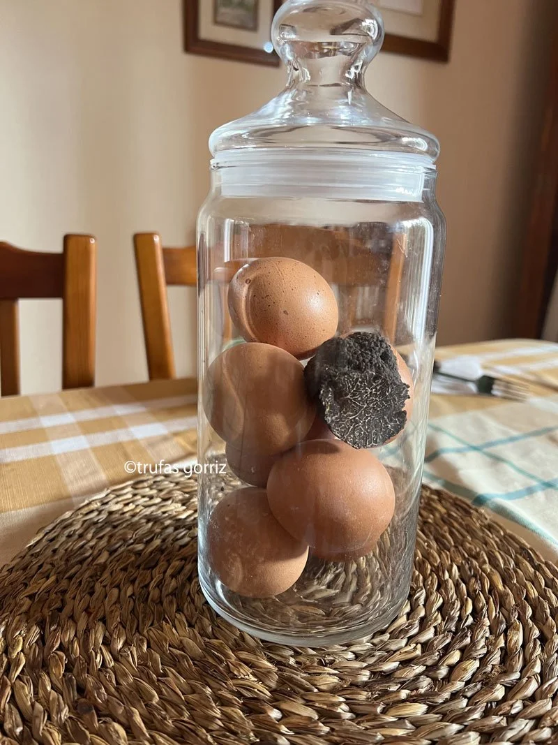 トリュフ卵