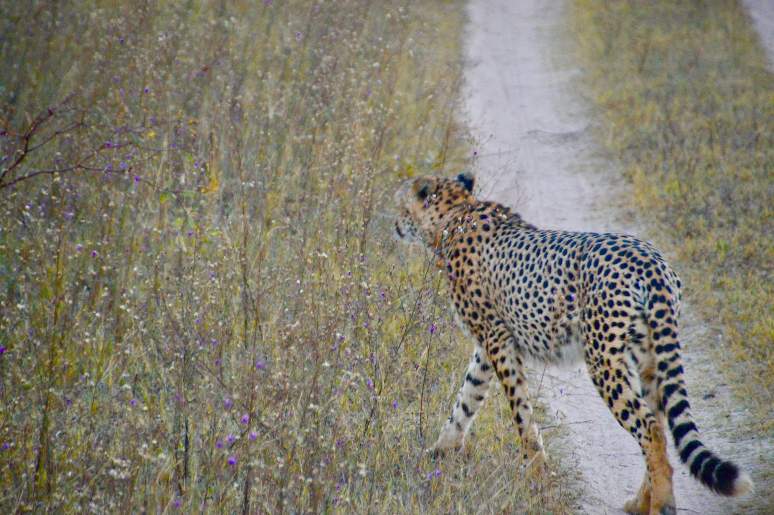 Reflection leads to learning! 