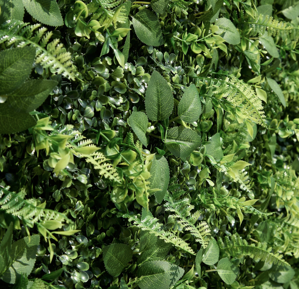 Image 3-14-26 at 9.50 AM.png