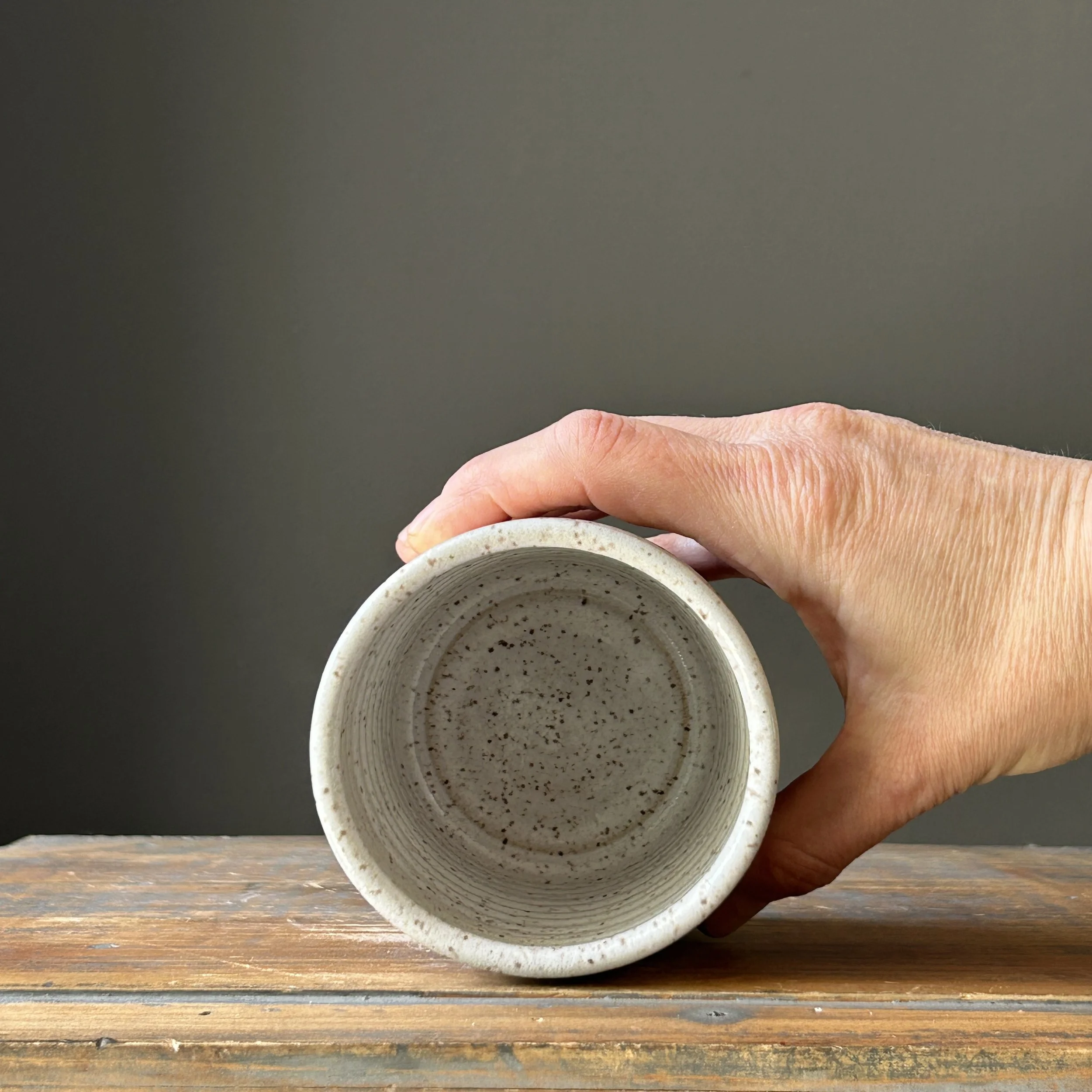 Photo Mar 28 2026, 1 59 20 PM.jpg